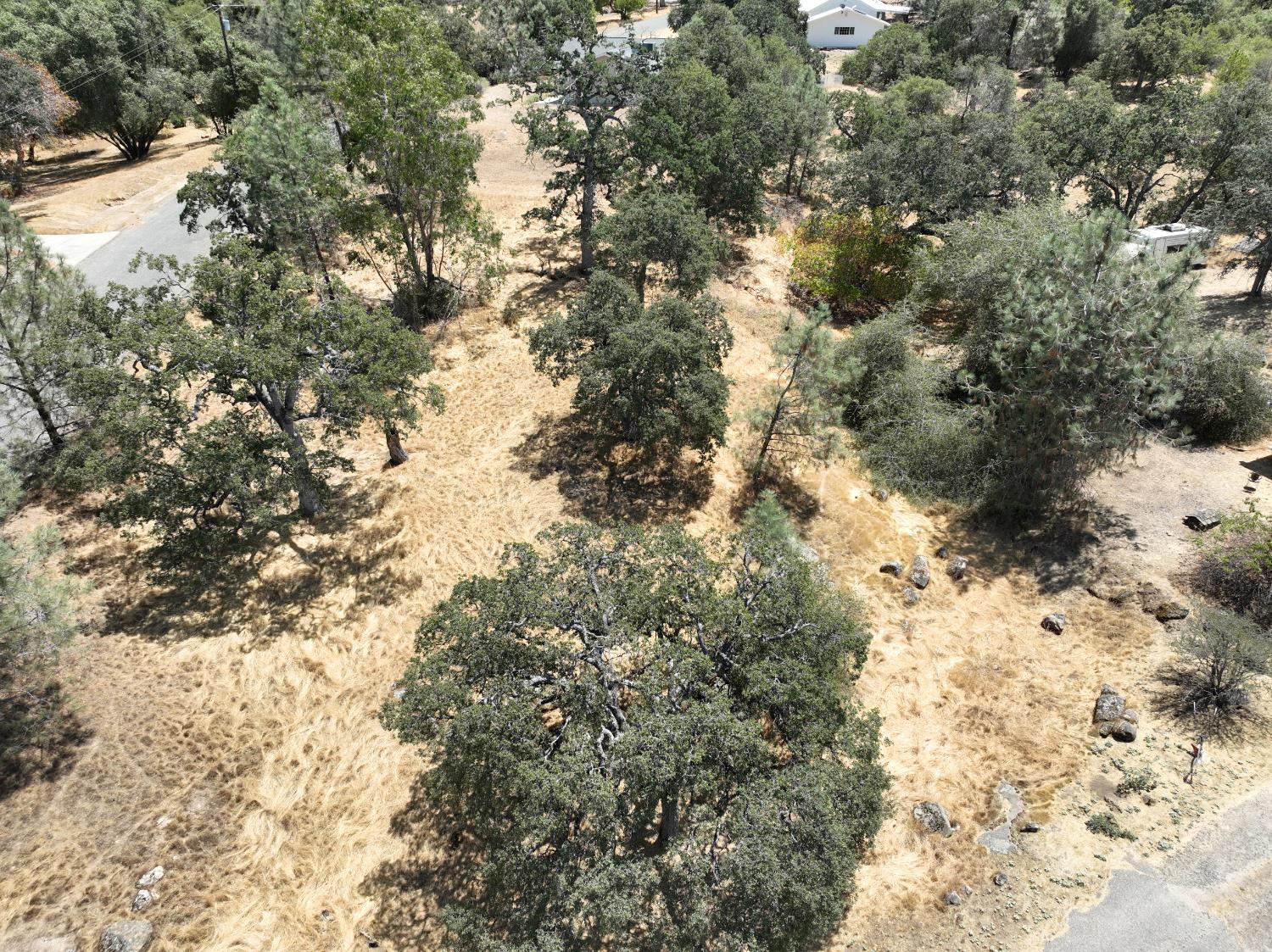 1806 Sentinel Dr, Coarsegold, CA 93614