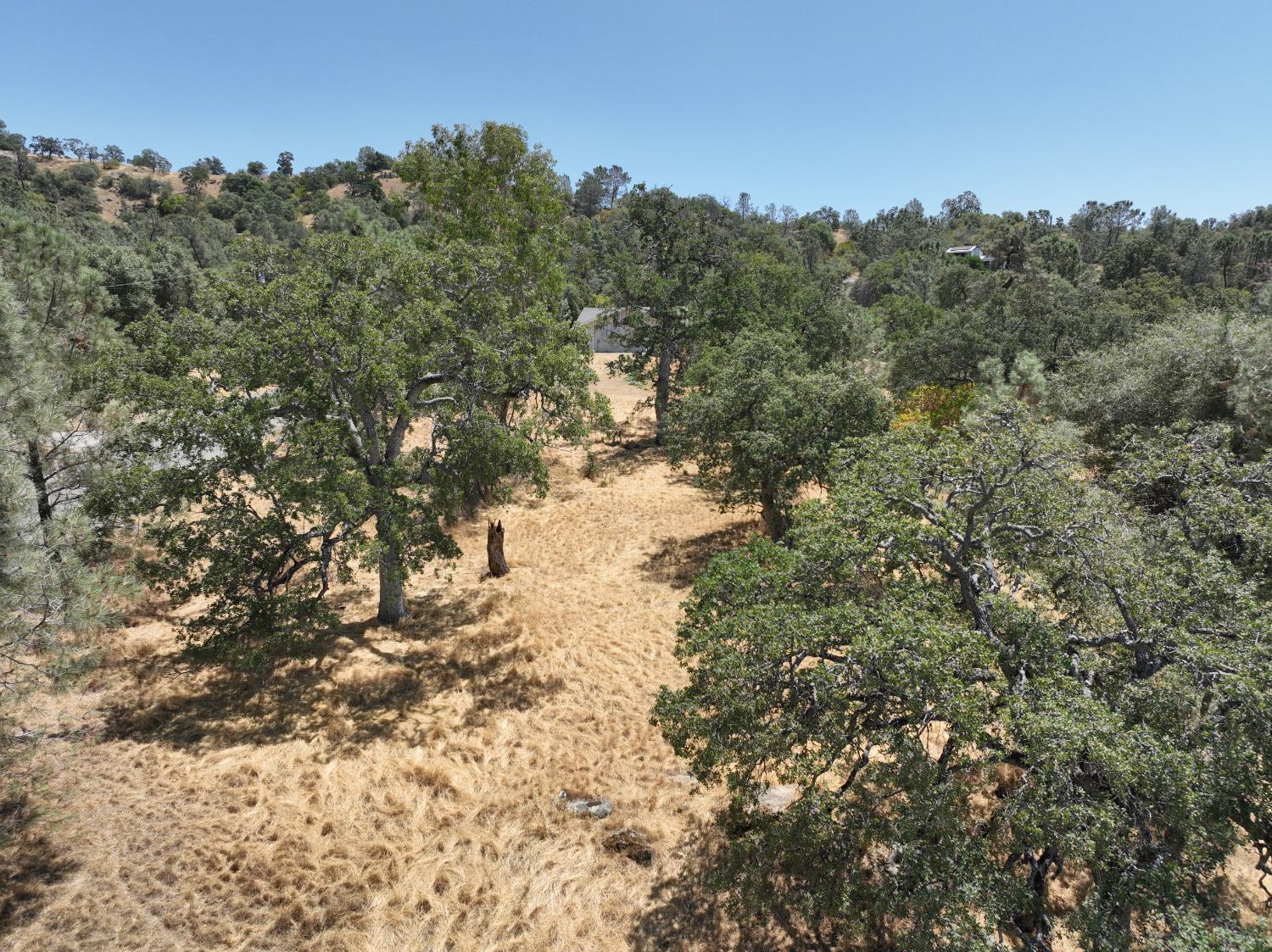 1806 Sentinel Dr, Coarsegold, CA 93614