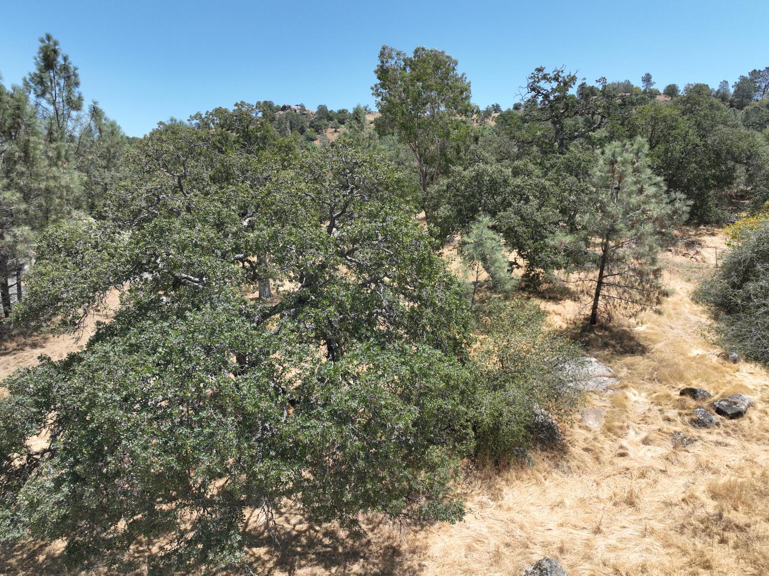 1806 Sentinel Dr, Coarsegold, CA 93614