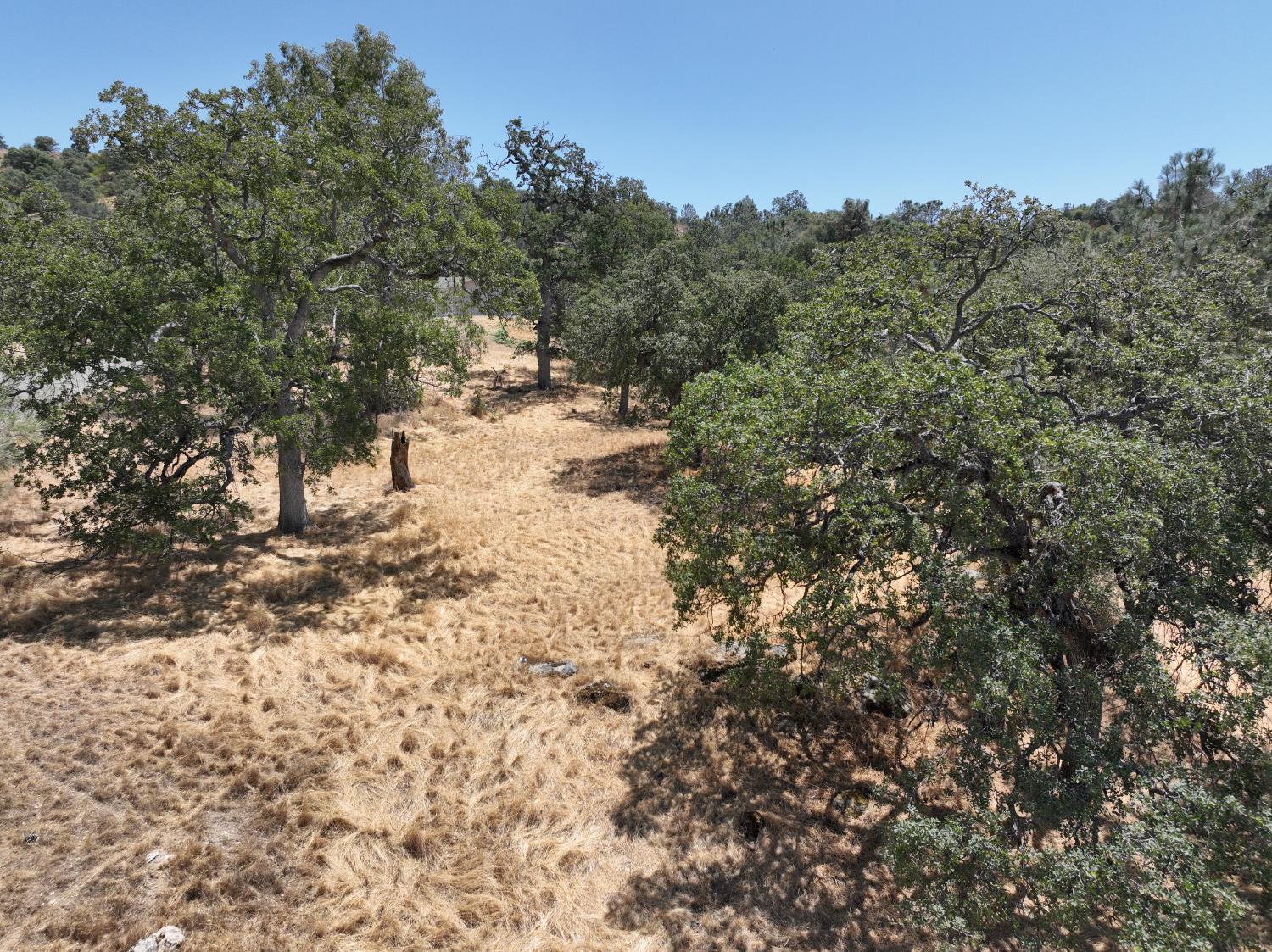 1806 Sentinel Dr, Coarsegold, CA 93614