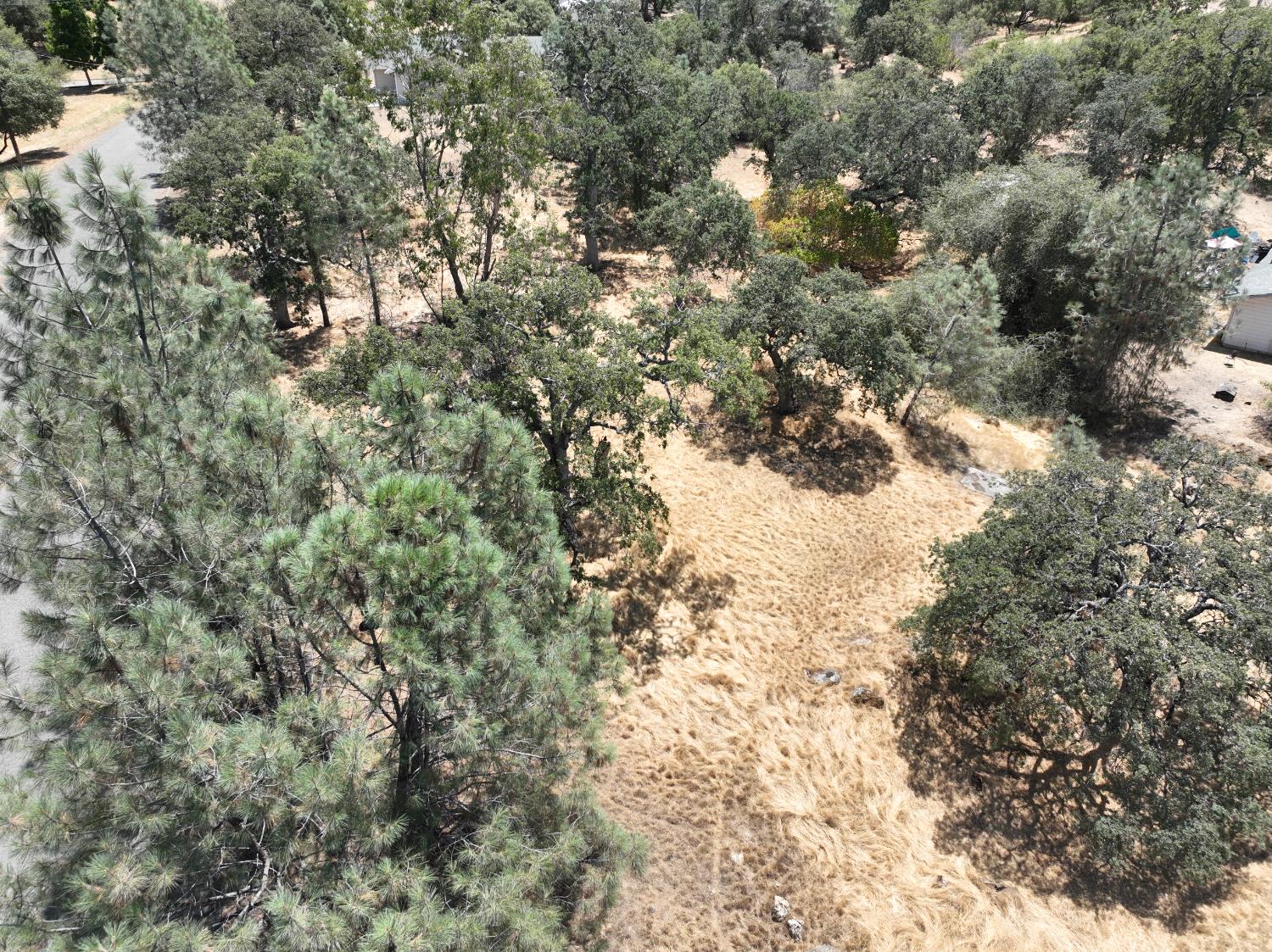 1806 Sentinel Dr, Coarsegold, CA 93614