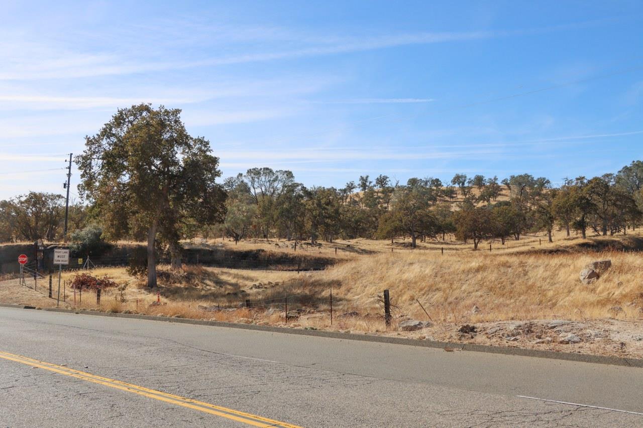 0 1.25 AC Sunflower Ln, O neals, CA 93645