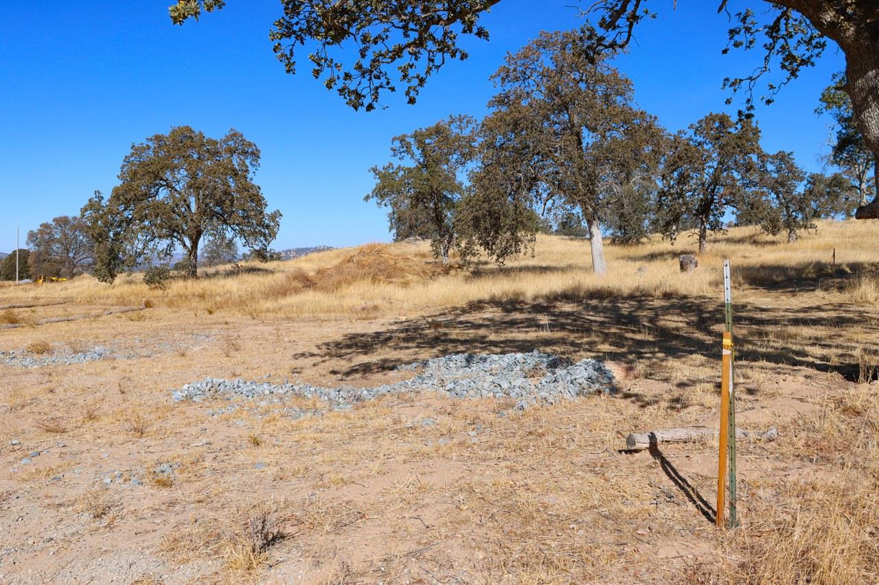 0 0.48 AC Sunflower Ln, O neals, CA 93645