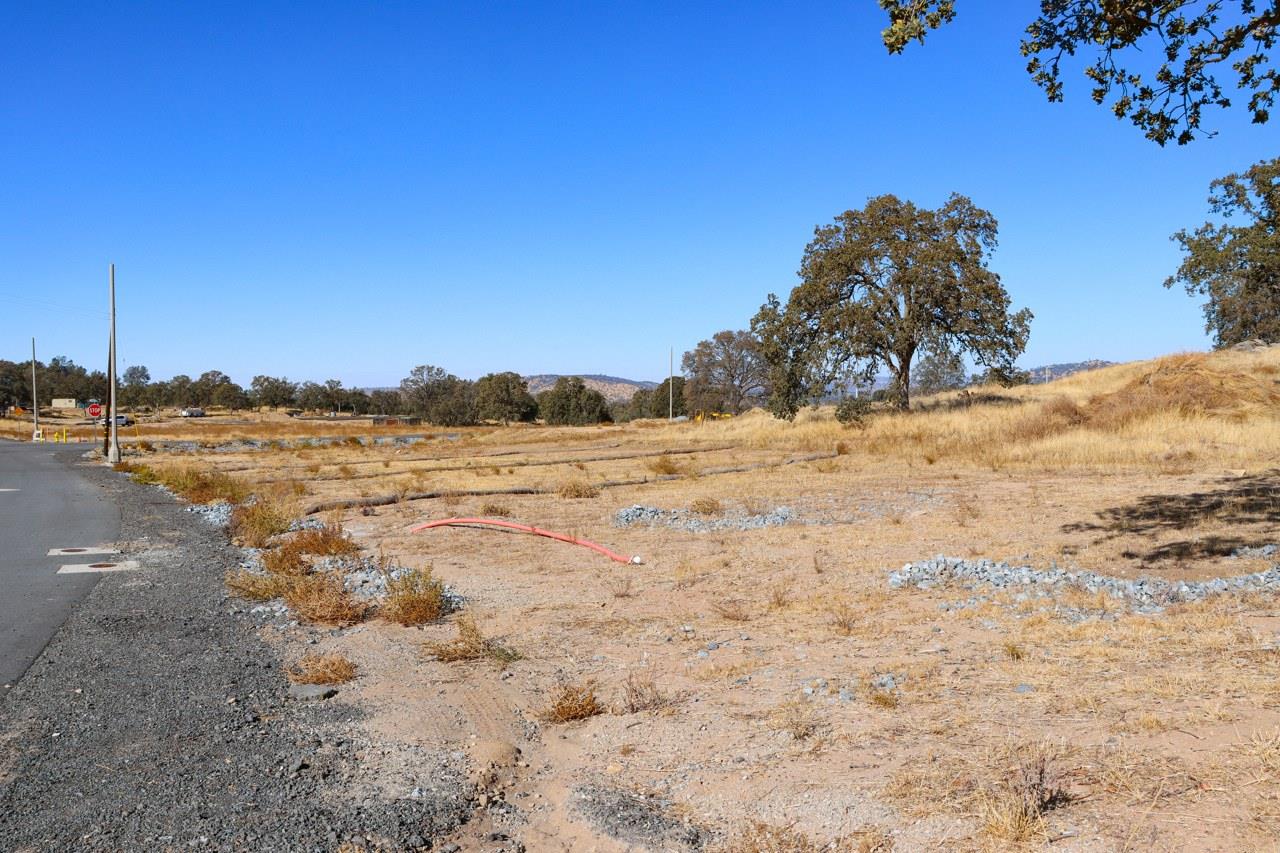 0 0.48 AC Sunflower Ln, O neals, CA 93645