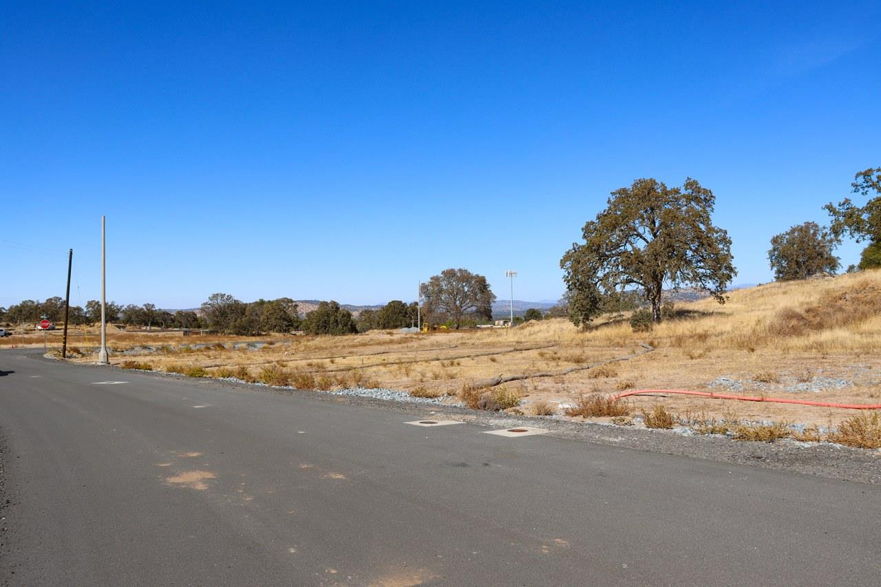 0 0.48 AC Sunflower Ln, O neals, CA 93645