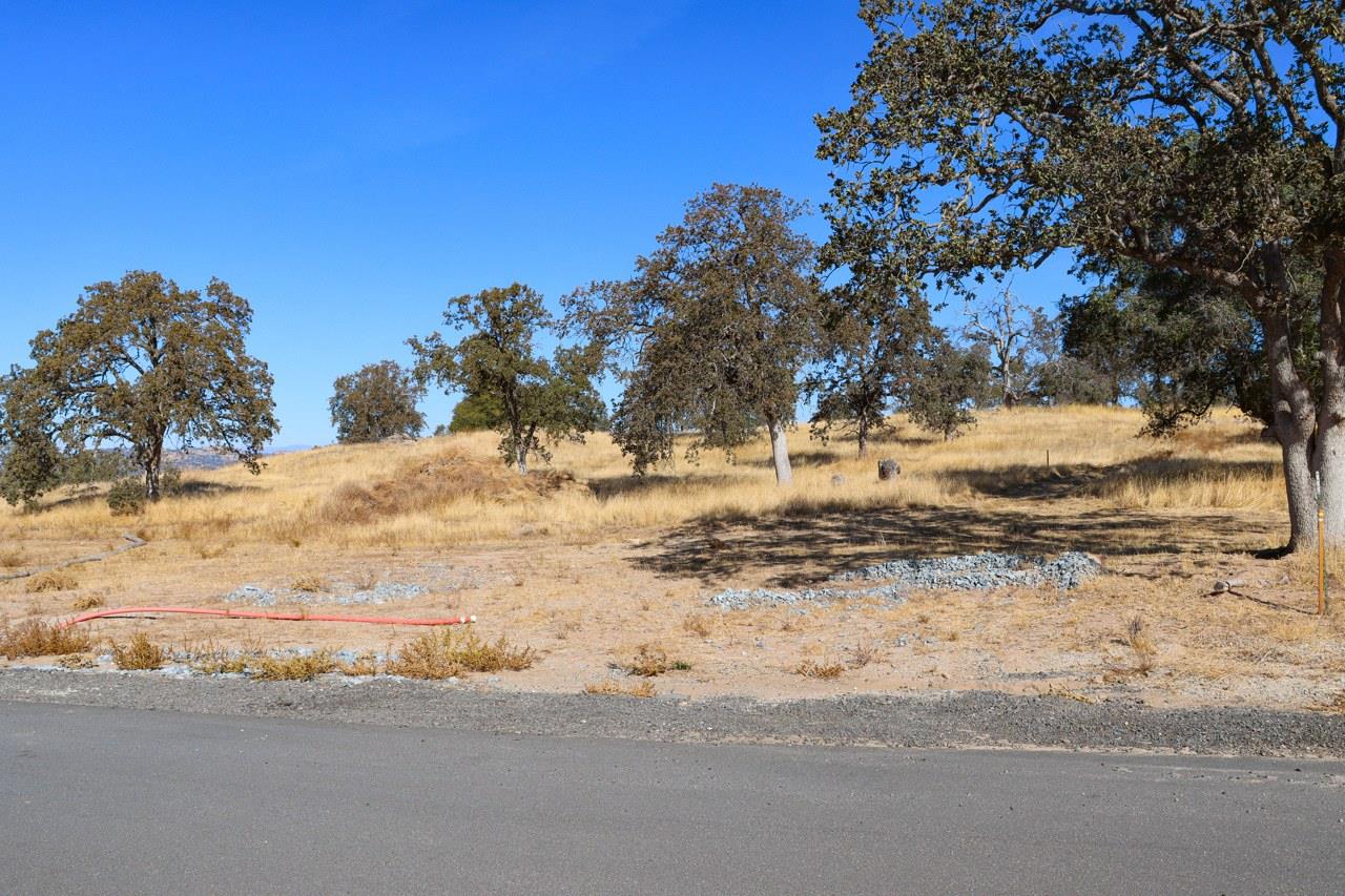 0 0.48 AC Sunflower Ln, O neals, CA 93645