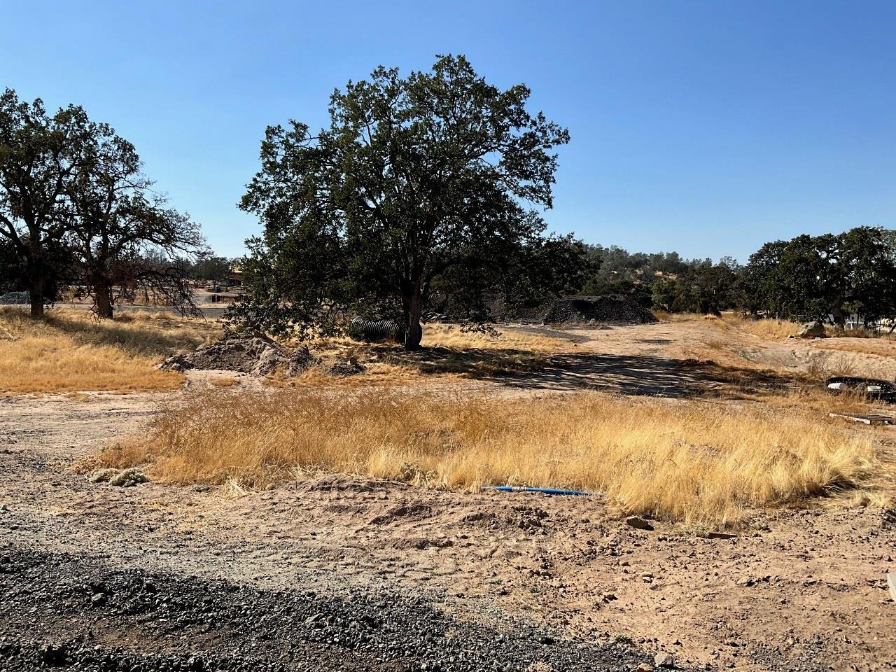 0 0.79 AC Sunflower Ln, O neals, CA 93645