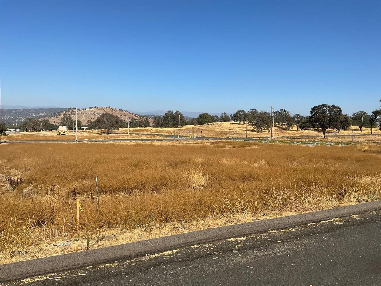 0 0.79 AC Sunflower Ln, O neals, CA 93645