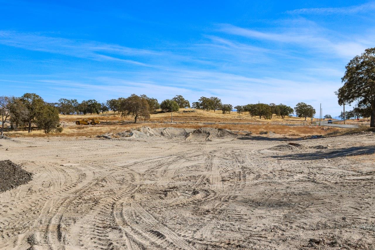 0 0.79 AC Sunflower Ln, O neals, CA 93645