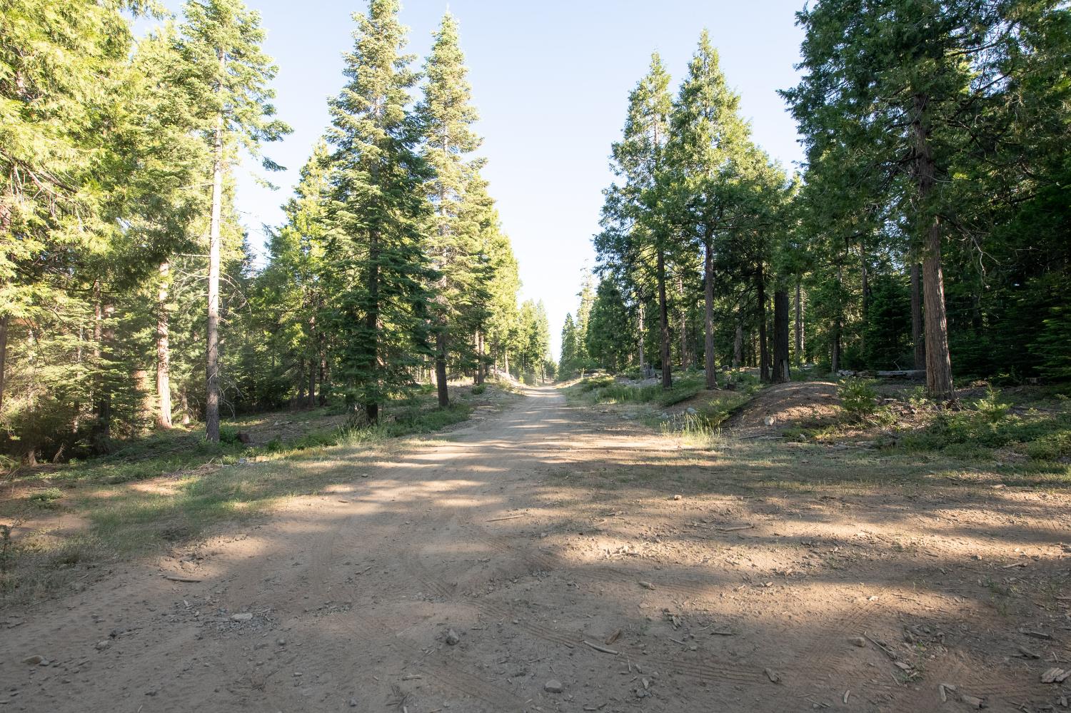 0 00 Littlefield Rd, Shaver Lake, CA 93664