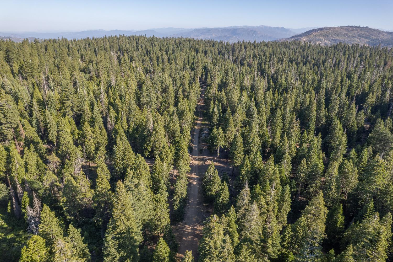 0 00 Littlefield Rd, Shaver Lake, CA 93664