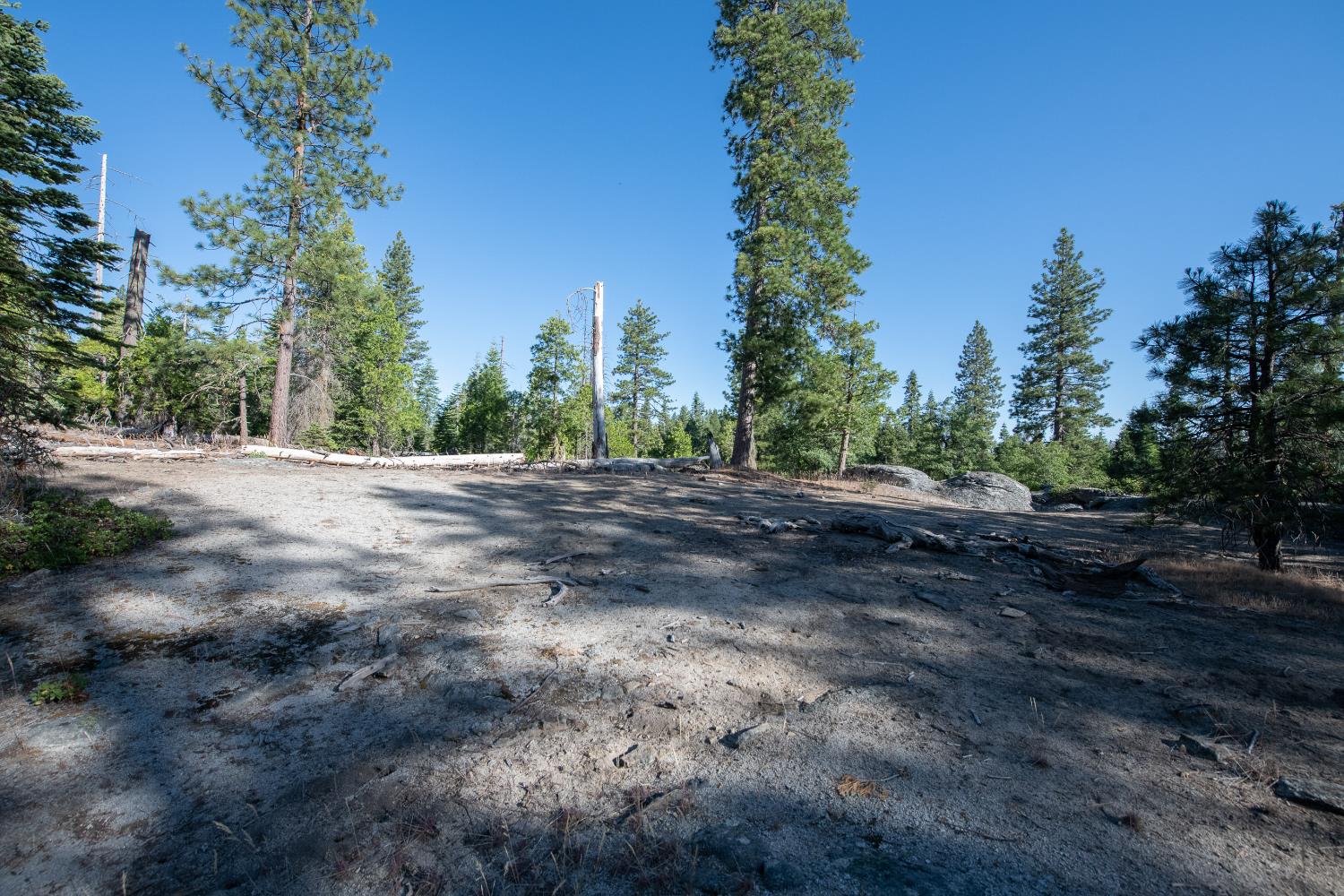 0 00 Littlefield Rd, Shaver Lake, CA 93664