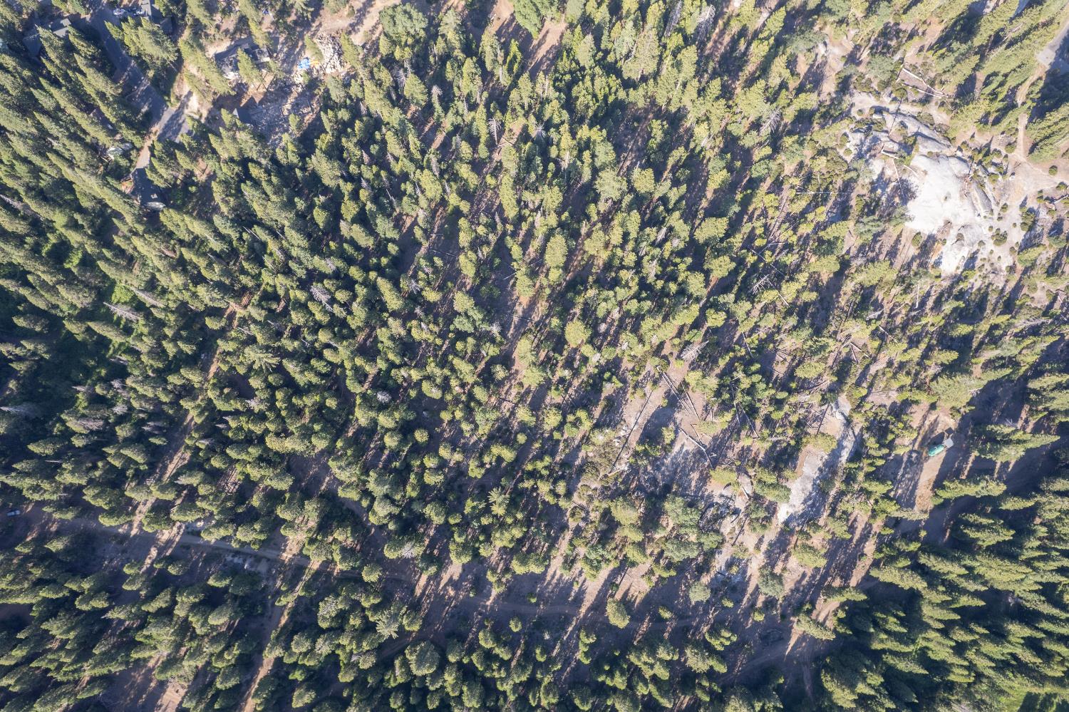 0 00 Littlefield Rd, Shaver Lake, CA 93664