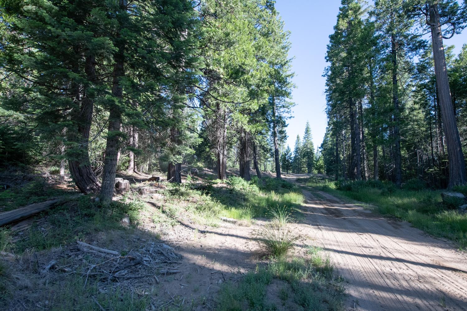 0 00 Littlefield Rd, Shaver Lake, CA 93664