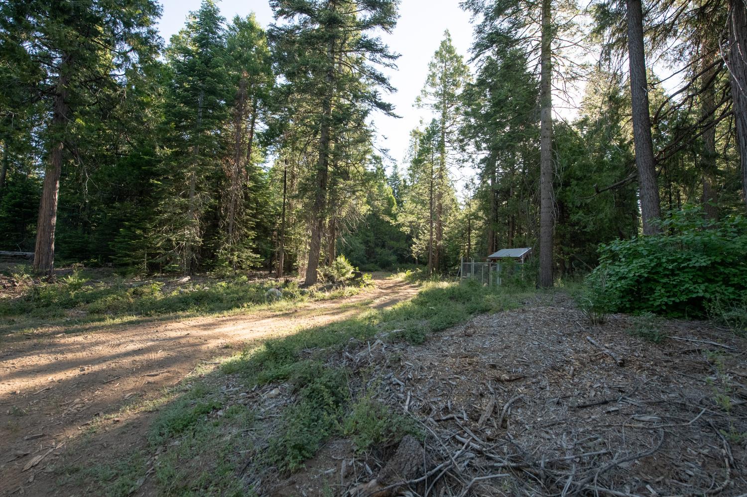 0 00 Littlefield Rd, Shaver Lake, CA 93664