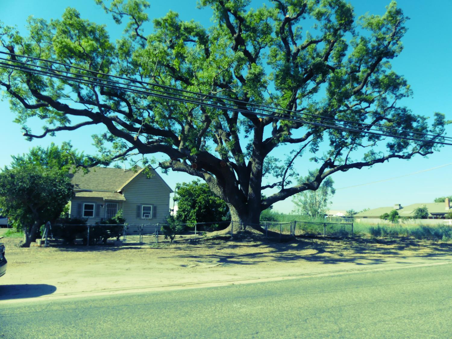 12115 S Temperance Ave, Selma, CA 93662