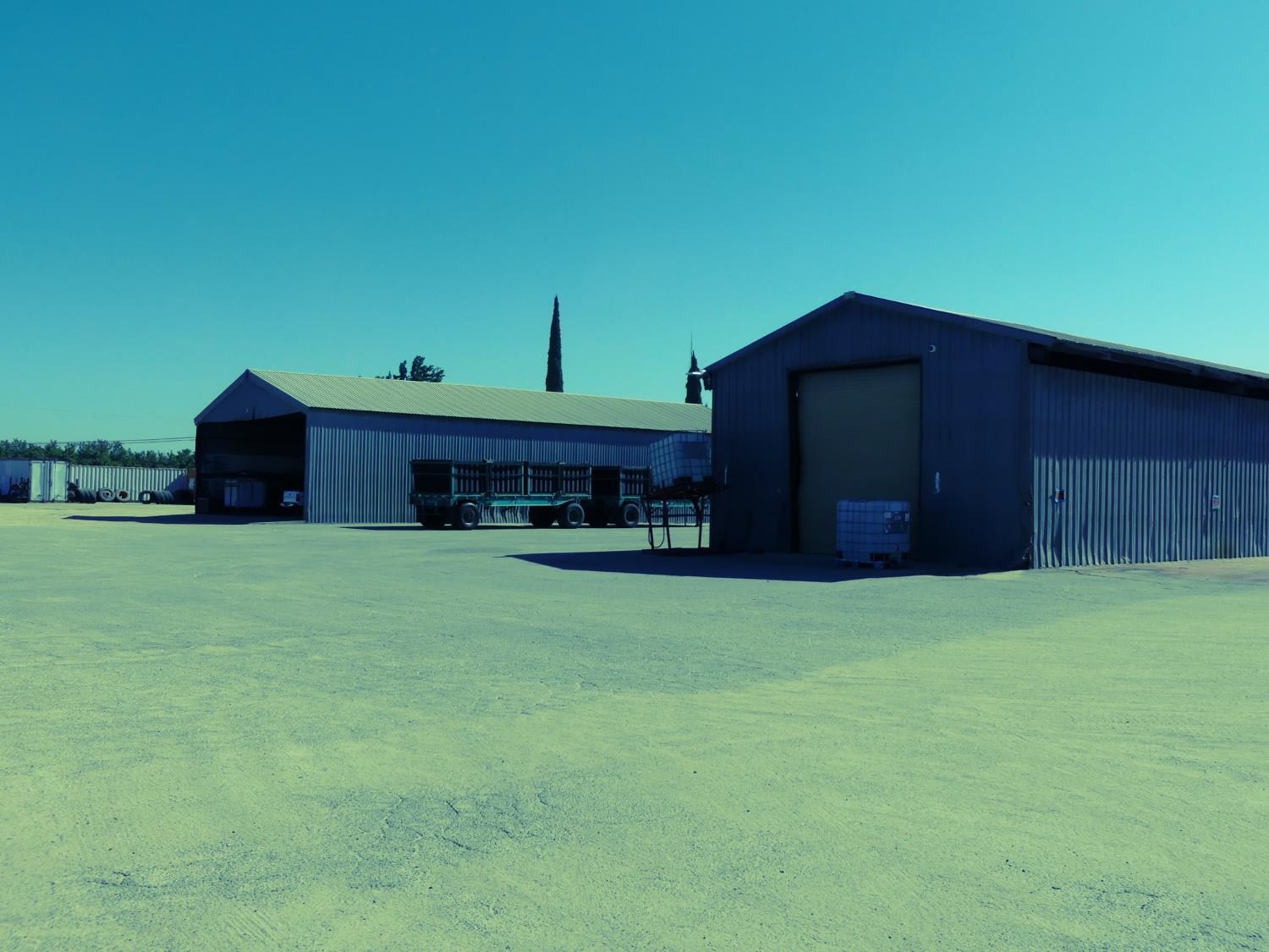 12115 S Temperance Ave, Selma, CA 93662