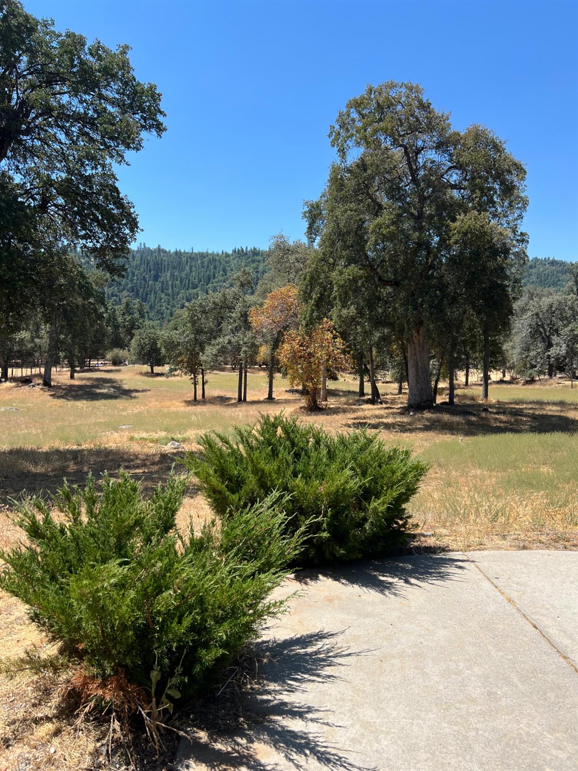 50601 Barcus Cir, Coarsegold, CA 93614