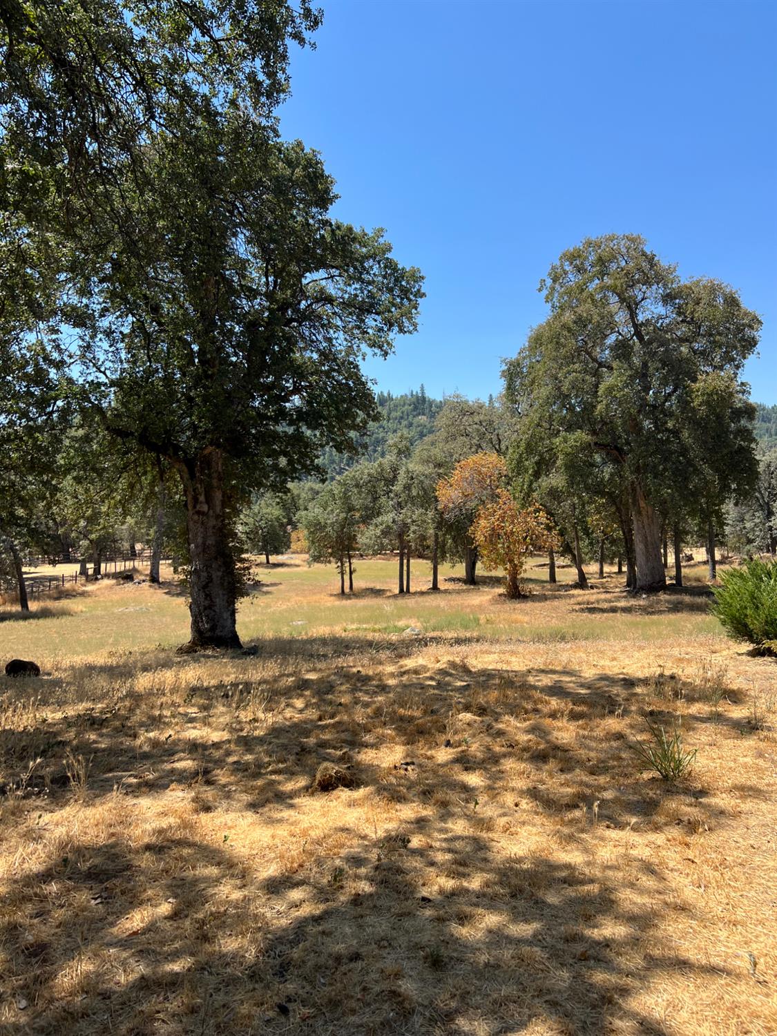 50601 Barcus Cir, Coarsegold, CA 93614