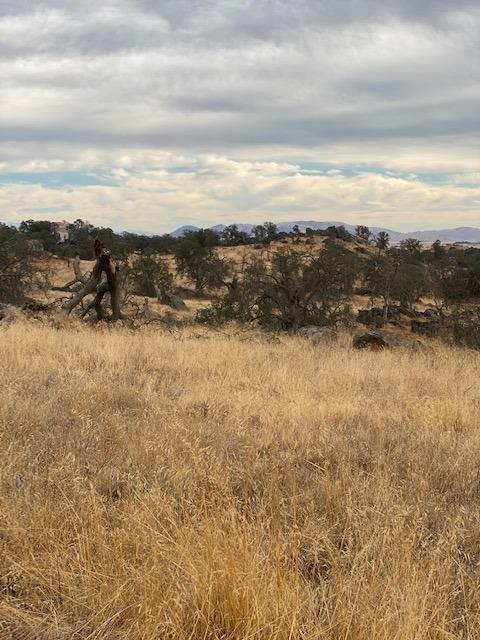 0 0 Quail Oaks Parcel 12P, Clovis, CA 93619