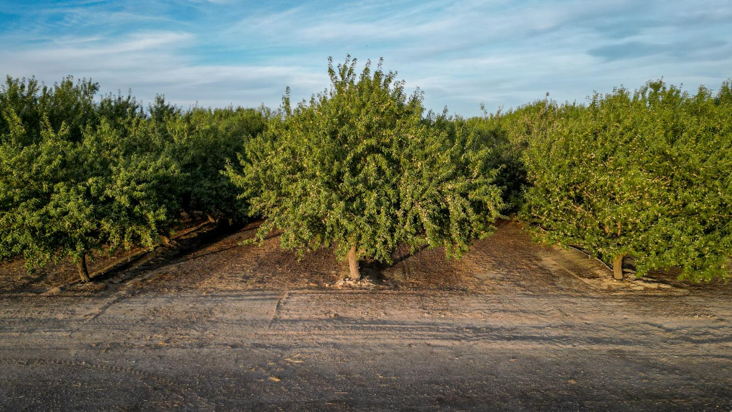 11885 Road 9, Madera, CA 93637