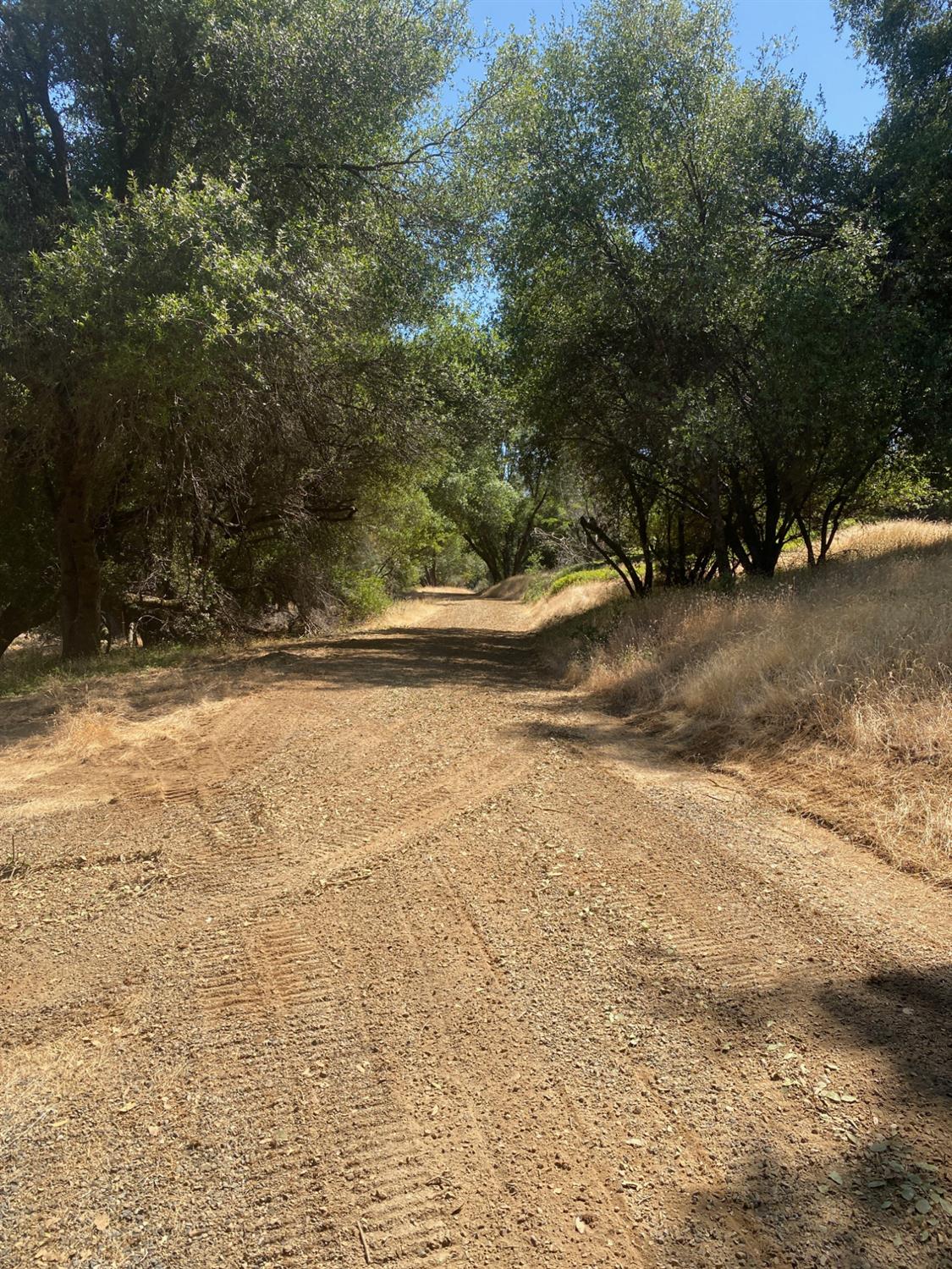 51668 Courtney Ln, Oakhurst, CA 93644