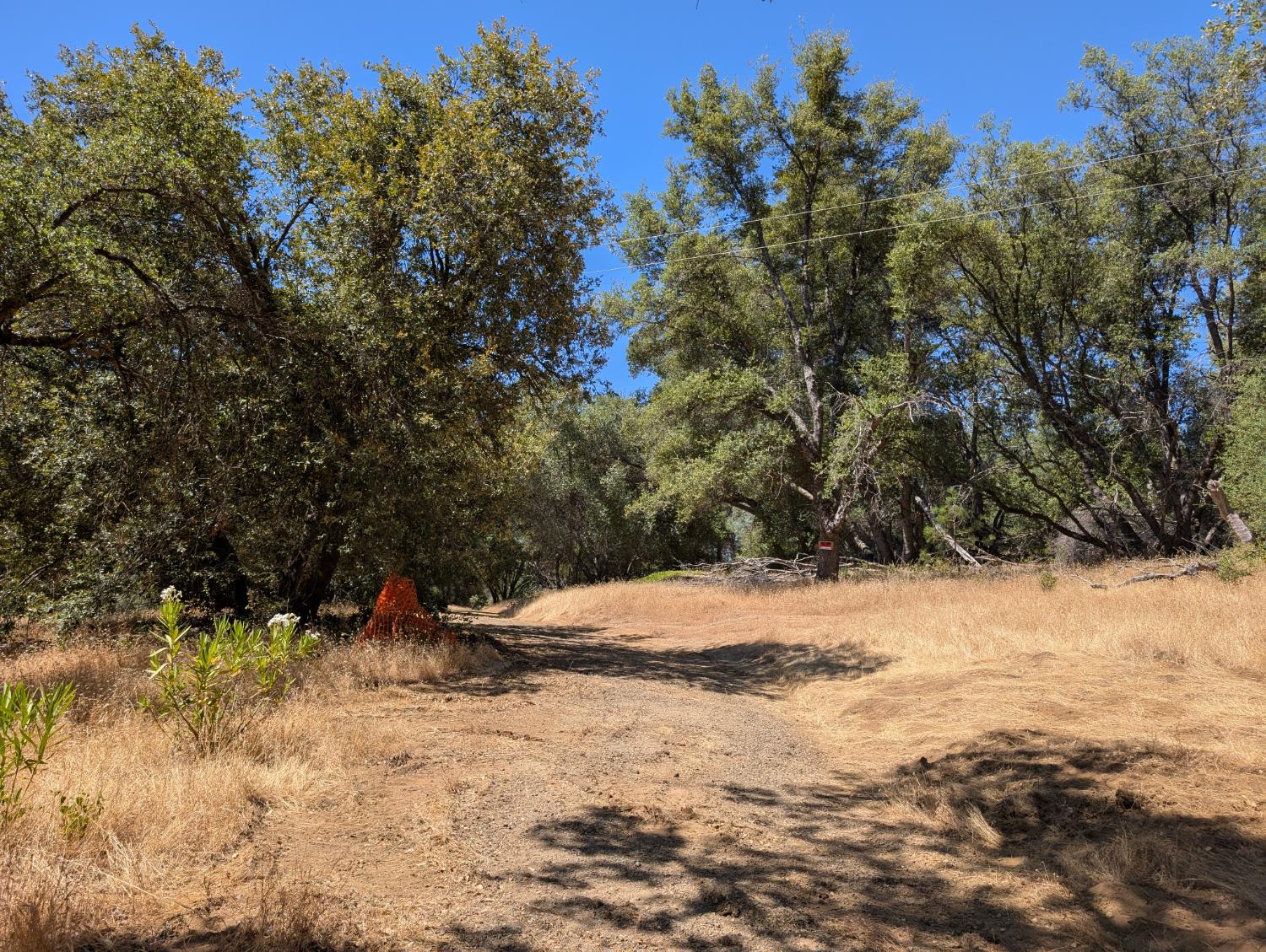 51668 Courtney Ln, Oakhurst, CA 93644