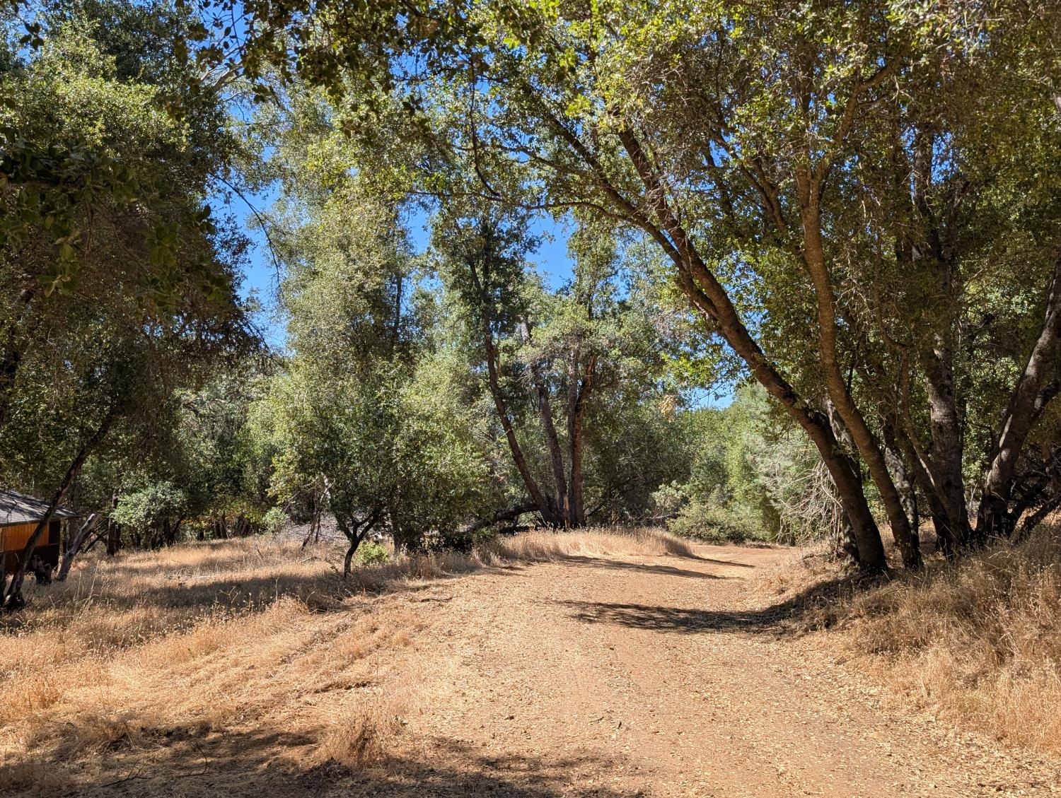 51668 Courtney Ln, Oakhurst, CA 93644