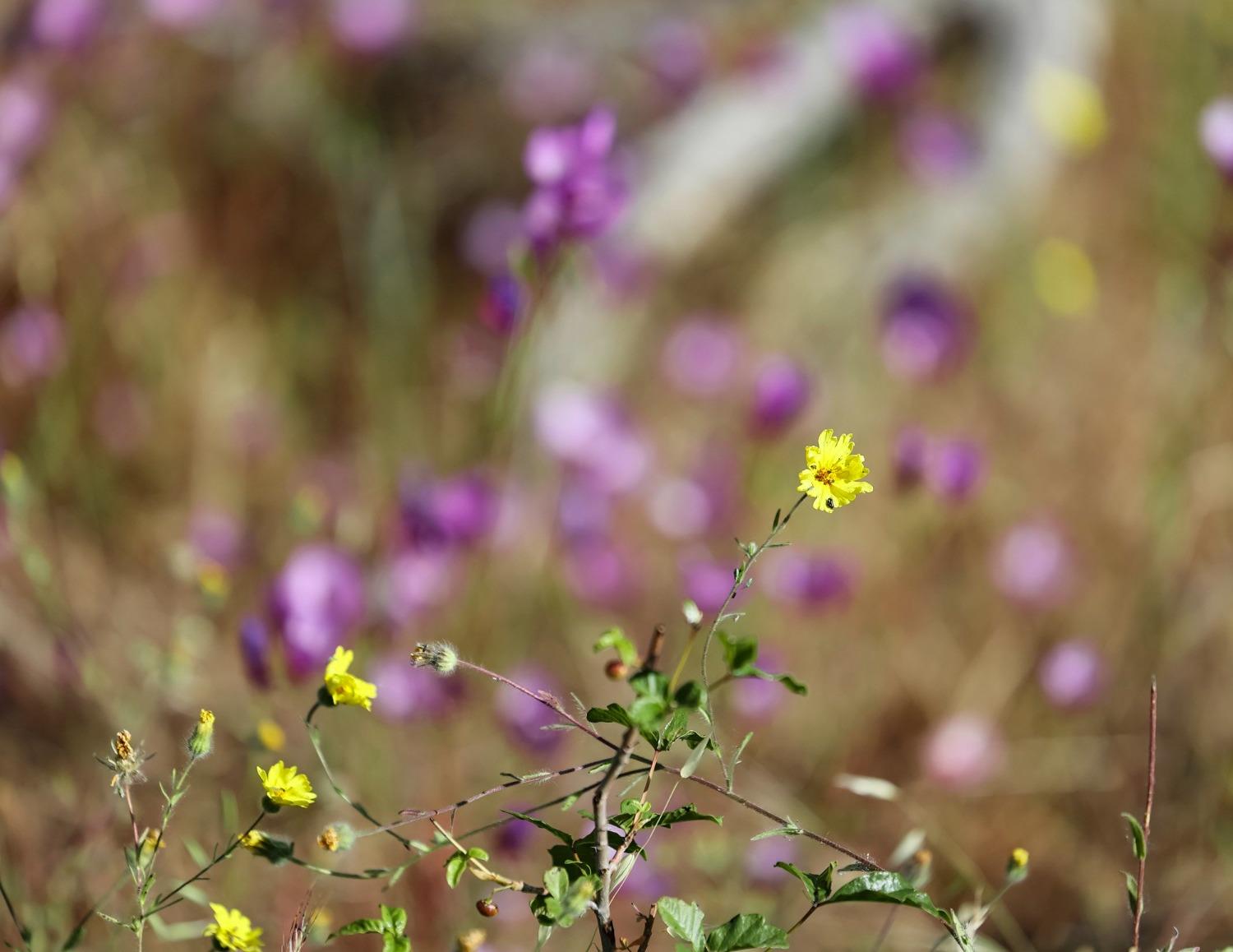 0 0 CA-180 Rd, Yokuts Valley, CA 93675