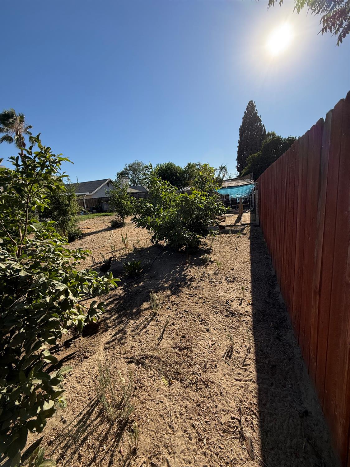 2662 Yerba St, Selma, CA 93662