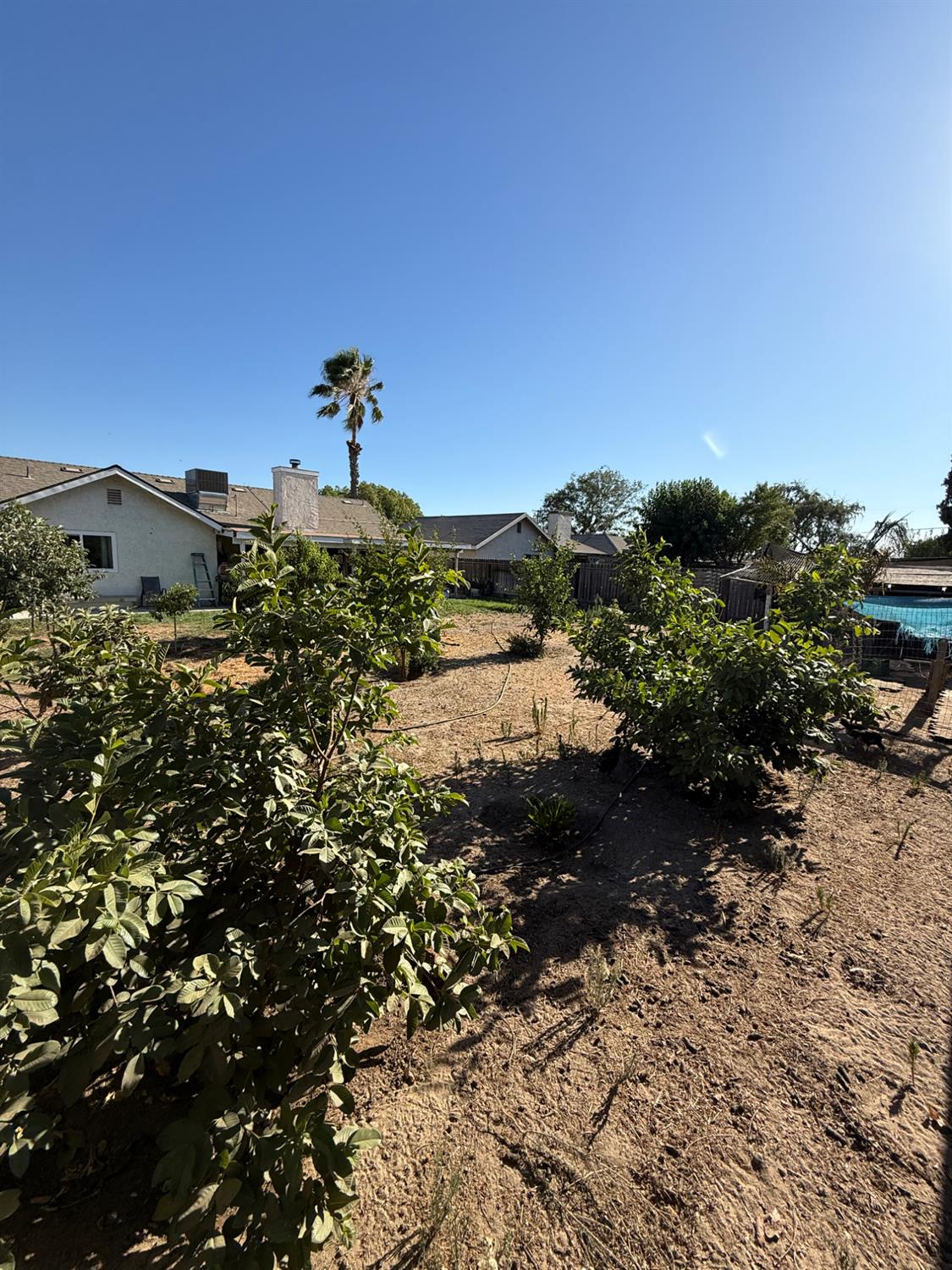 2662 Yerba St, Selma, CA 93662