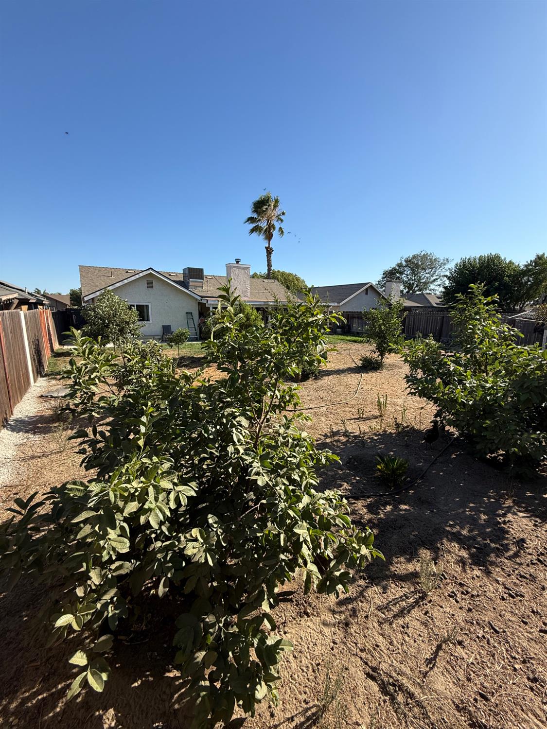 2662 Yerba St, Selma, CA 93662