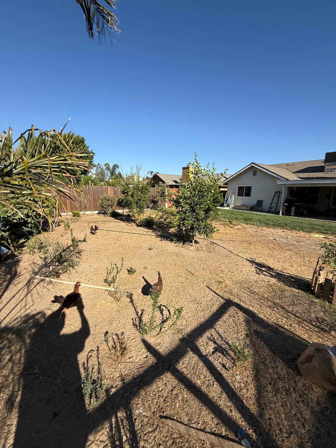 2662 Yerba St, Selma, CA 93662