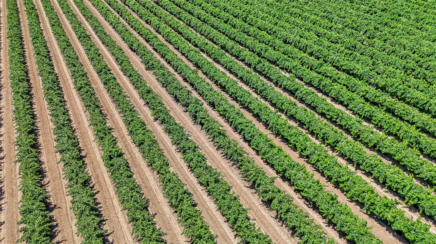 0 0 S Road 28, Madera, CA 93638