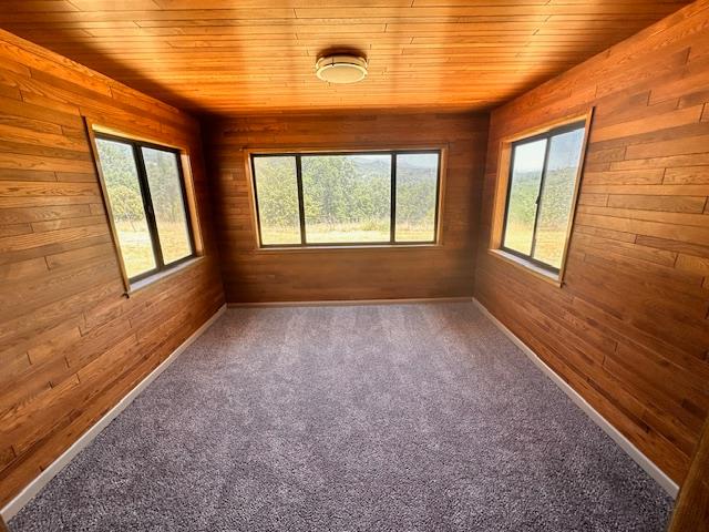 45911 Orchard Dr, Miramonte, CA 93641