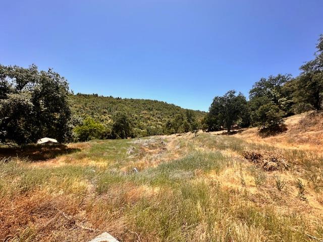 45911 Orchard Dr, Miramonte, CA 93641