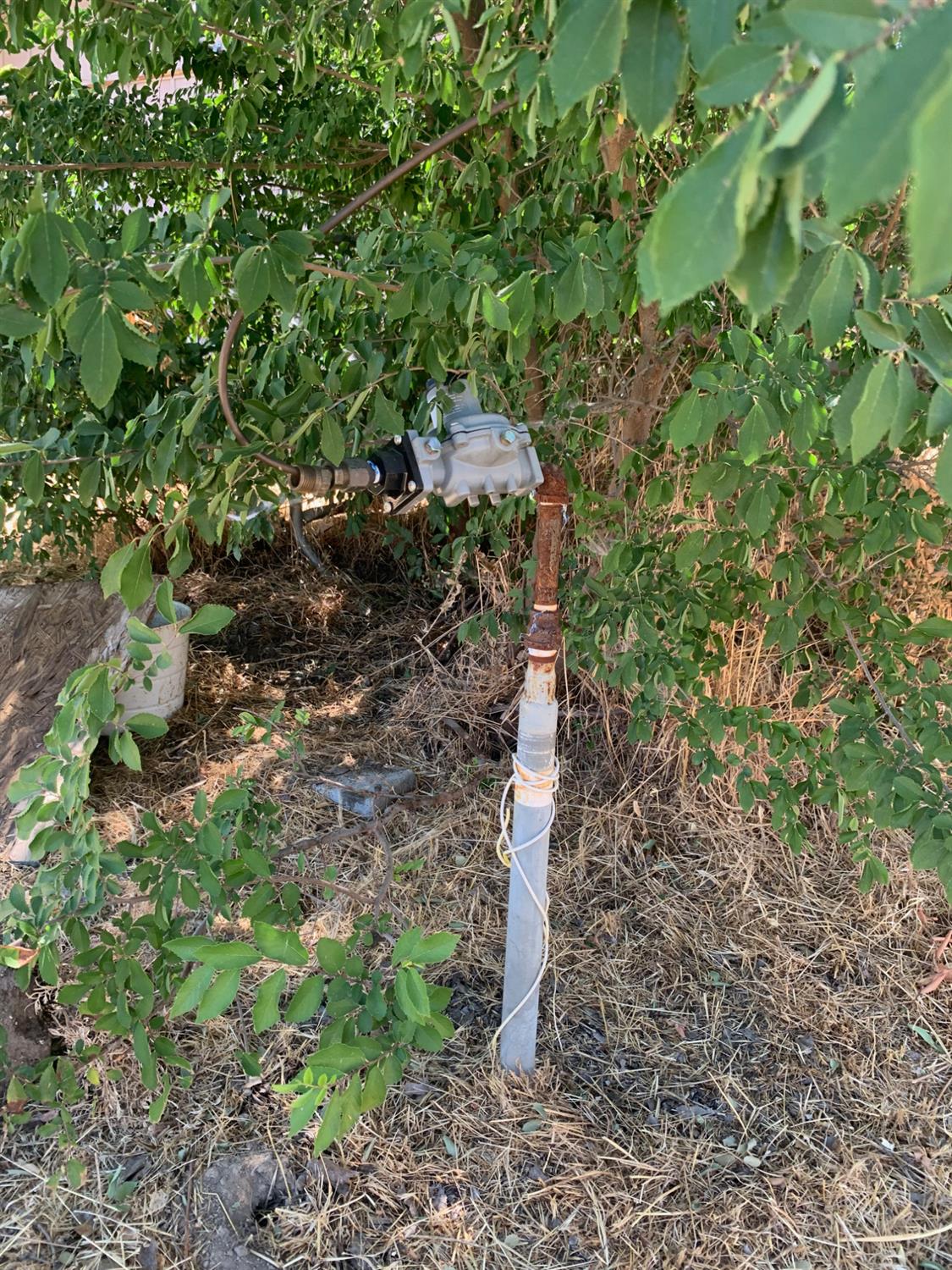 30666 Hogan's Mountain Rd, Coarsegold, CA 93614