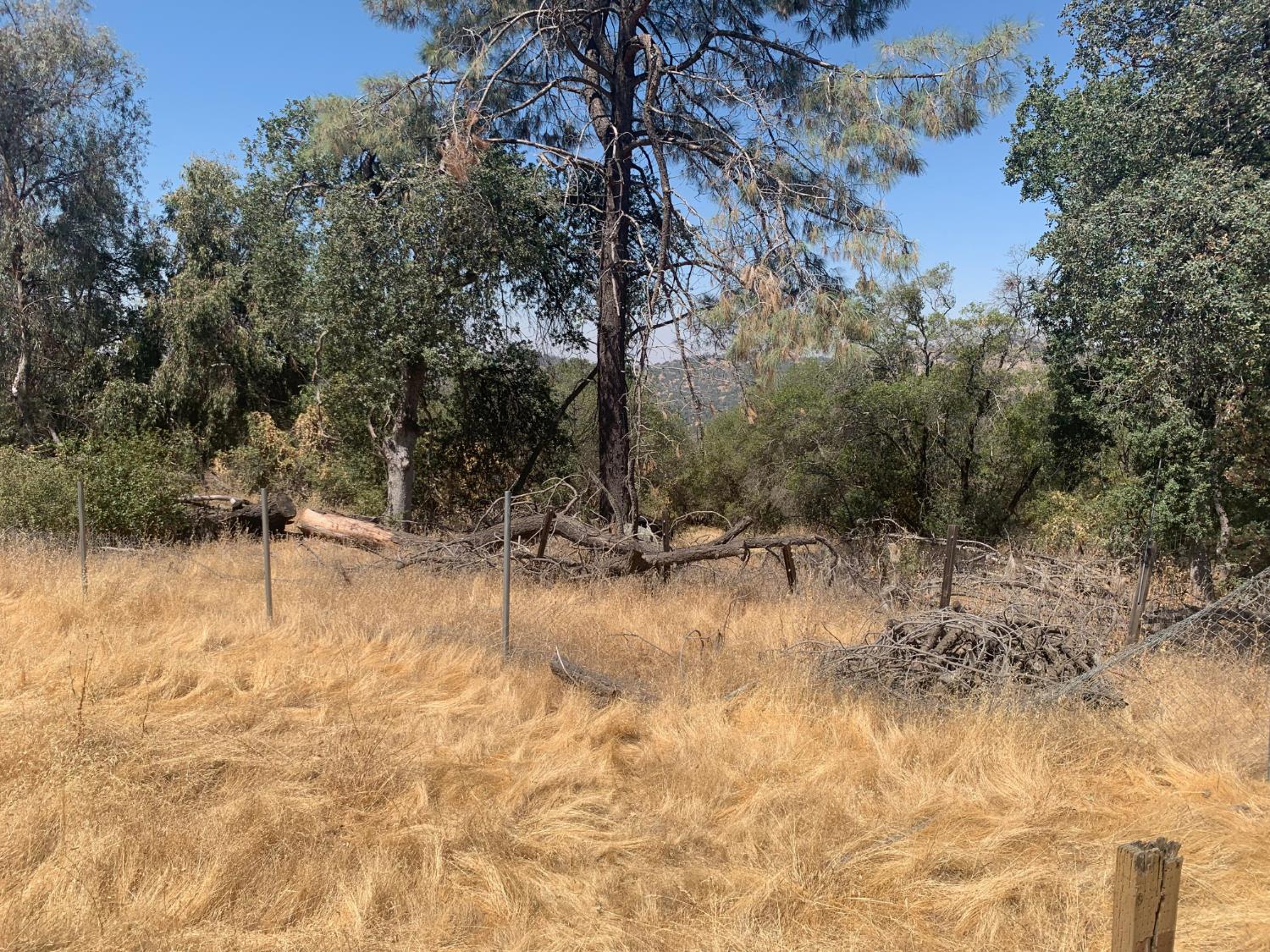 30666 Hogan's Mountain Rd, Coarsegold, CA 93614