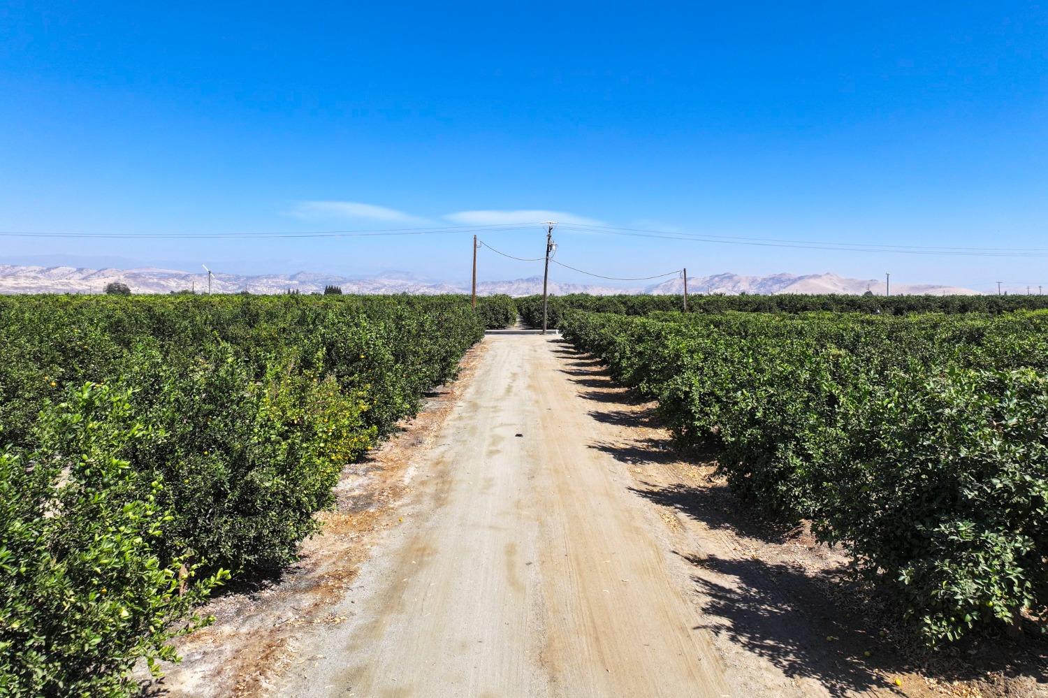 0 0 Avenue 424, Dinuba, CA 93618