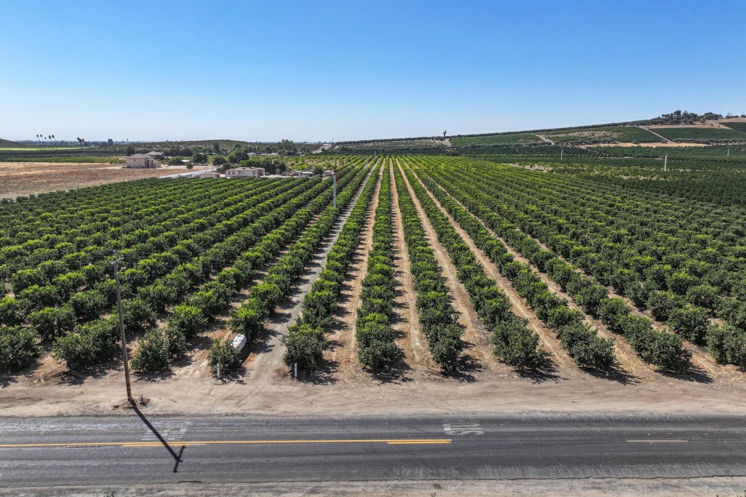 0 0 Avenue 424, Dinuba, CA 93618