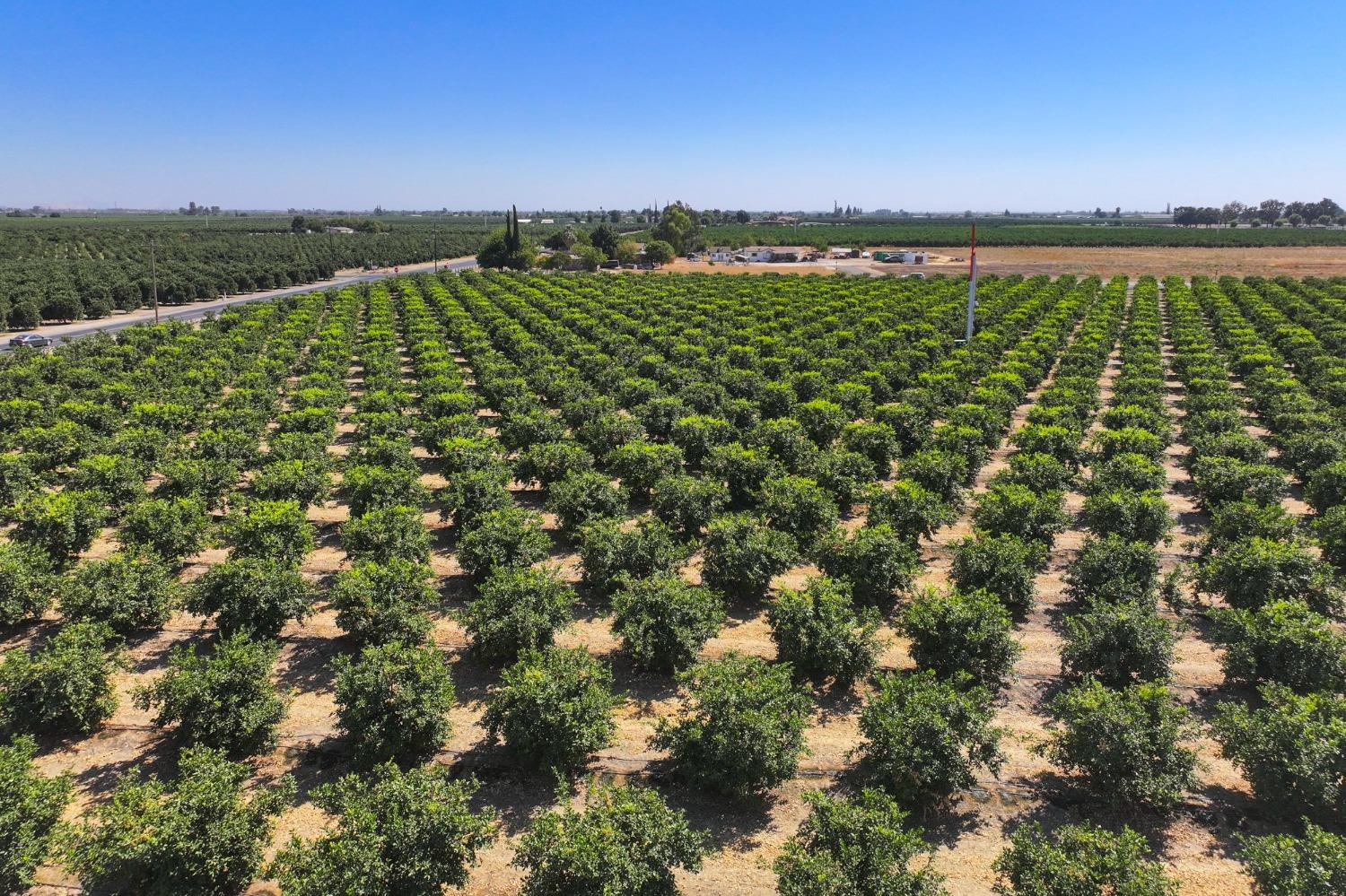 0 0 Avenue 424, Dinuba, CA 93618