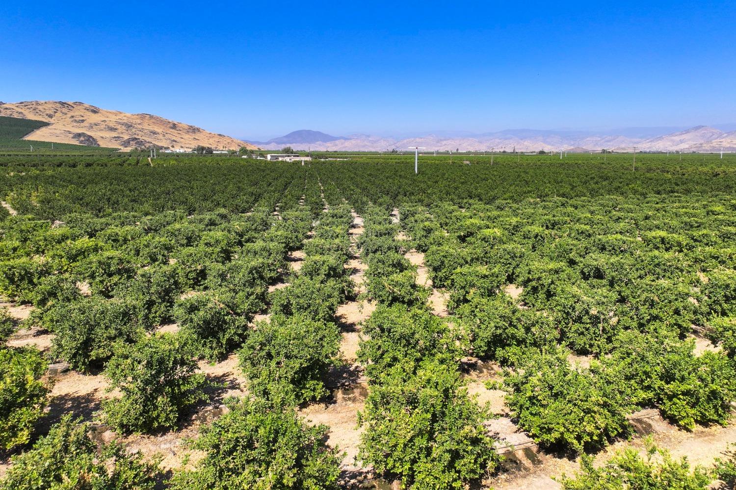 0 0 Avenue 424, Dinuba, CA 93618