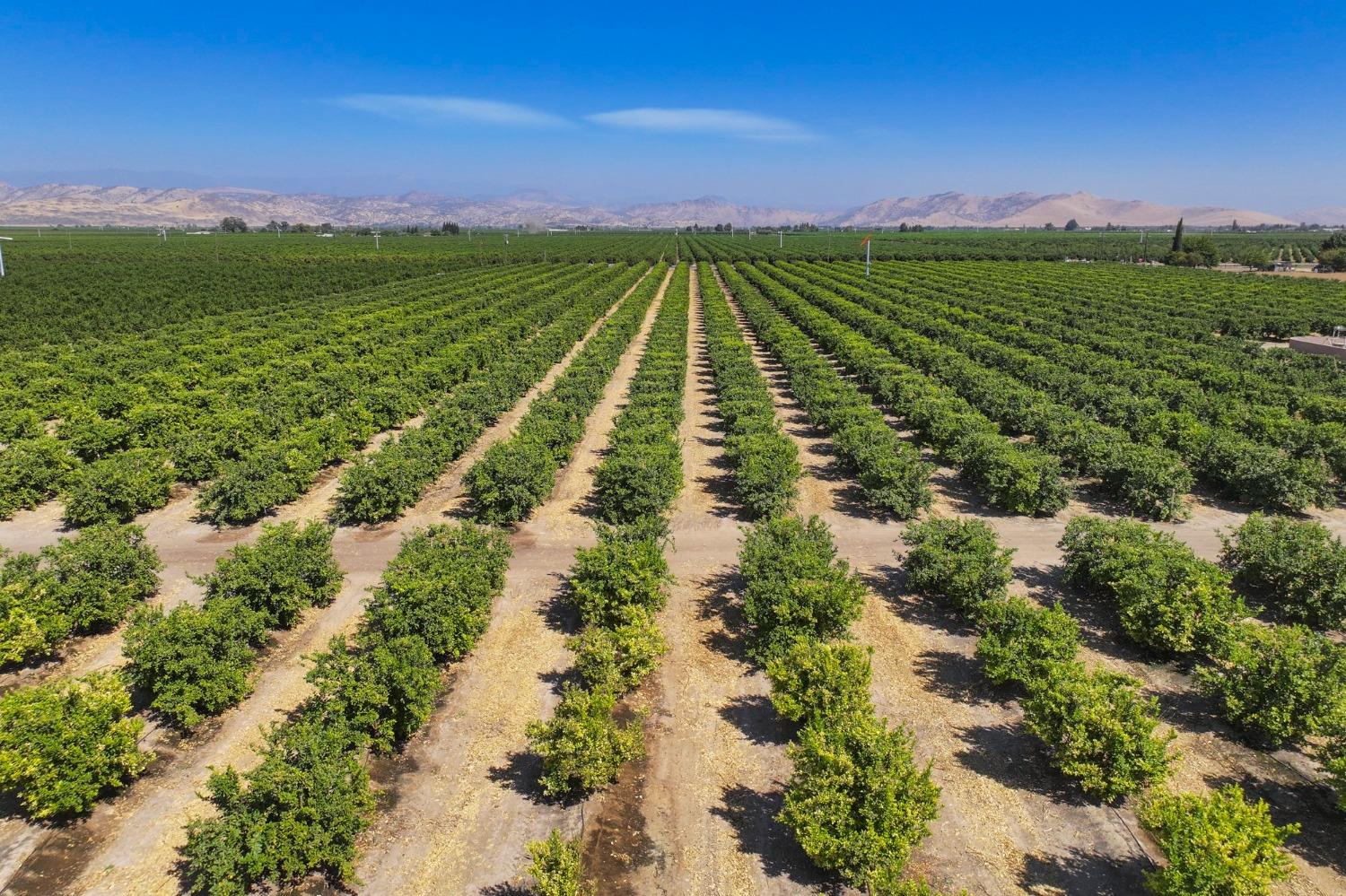 0 0 Avenue 424, Dinuba, CA 93618