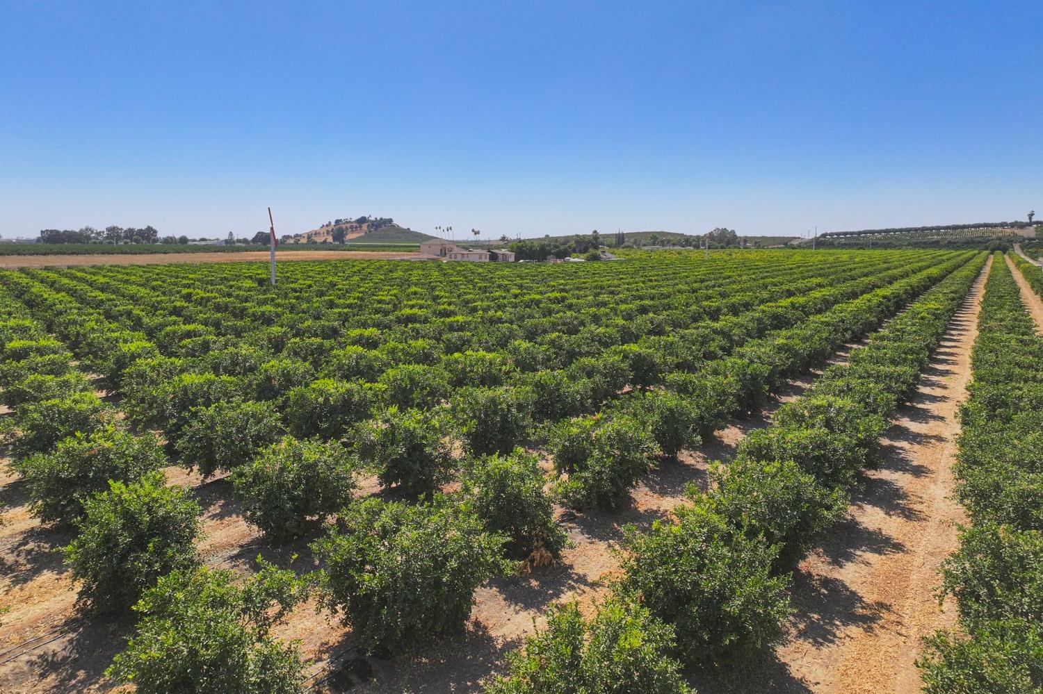 0 0 Avenue 424, Dinuba, CA 93618