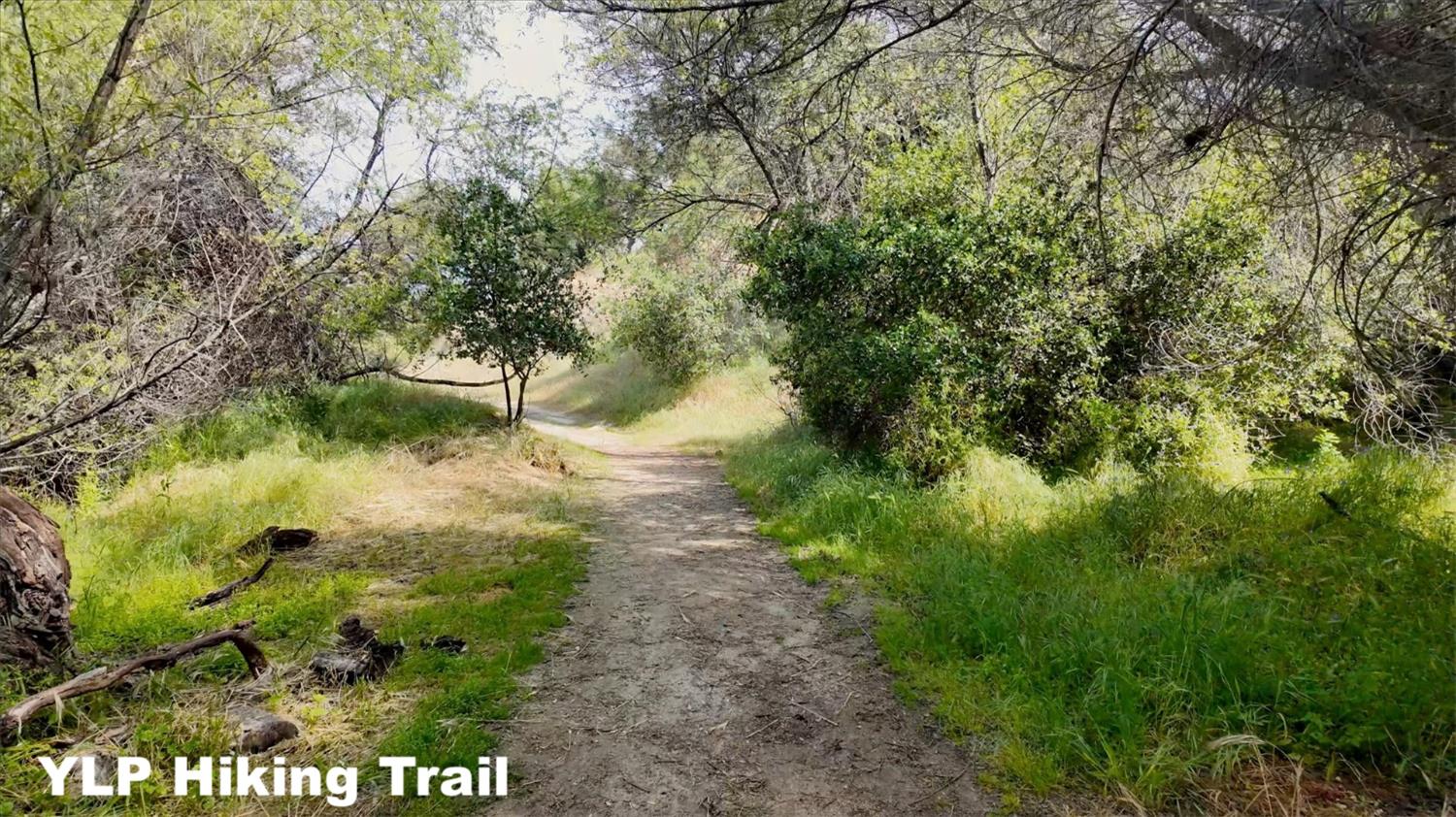 31749 Road 400, Coarsegold, CA 93614