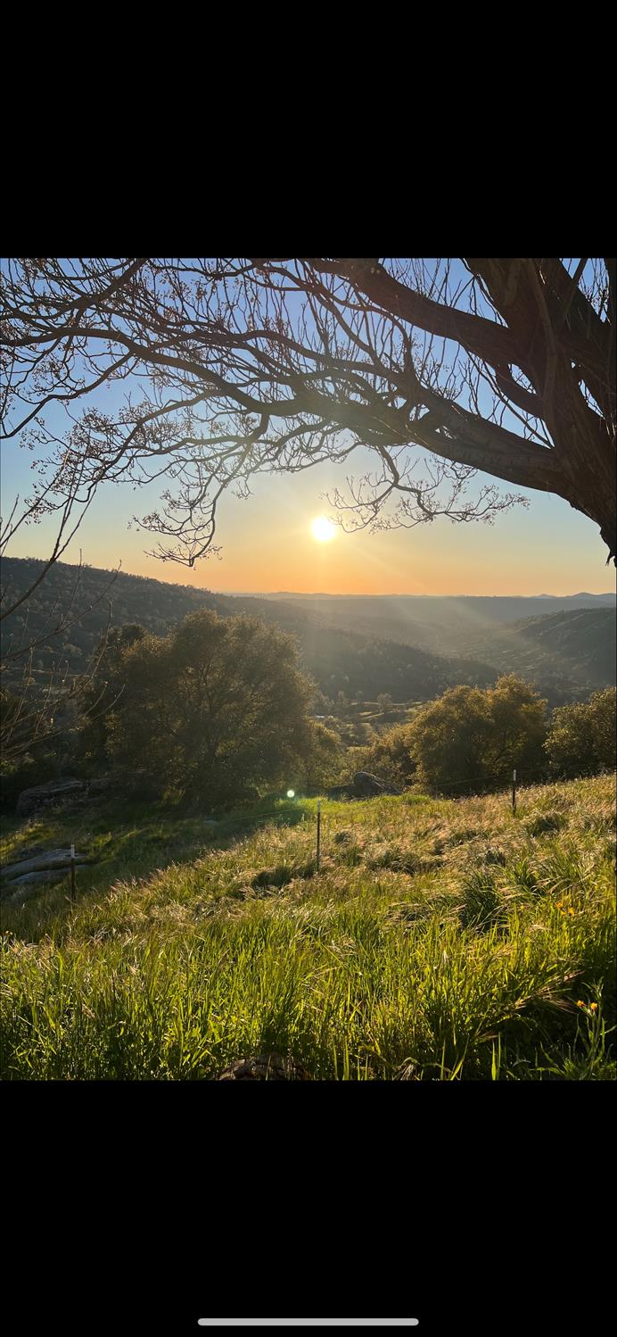 37876 Road 600, Raymond, CA 93653