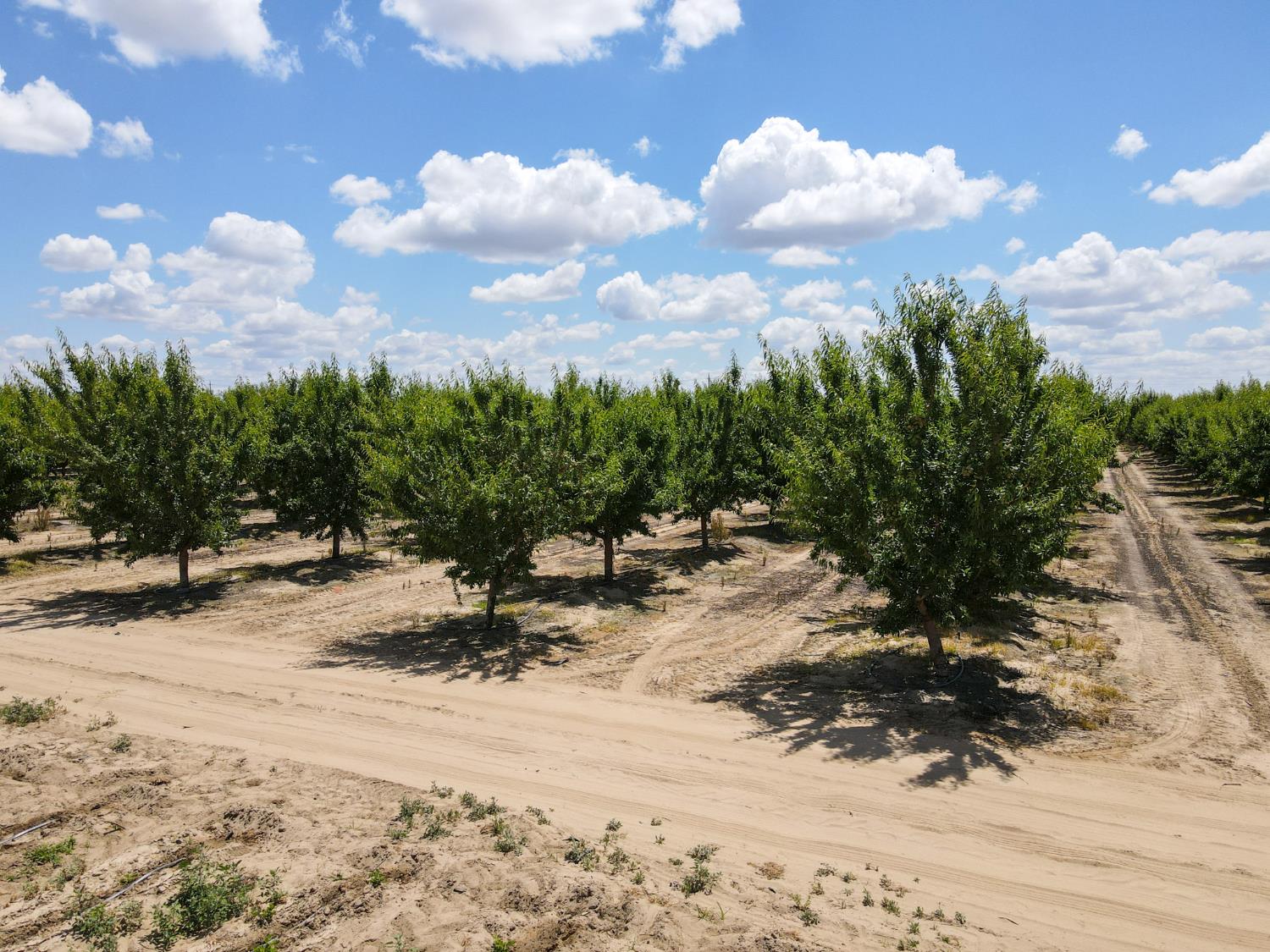 3630 S. Greenwood Ave., Sanger, CA 93657