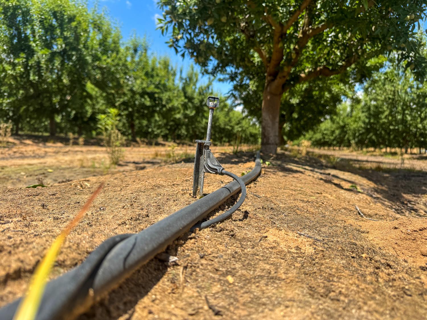 3630 S. Greenwood Ave., Sanger, CA 93657