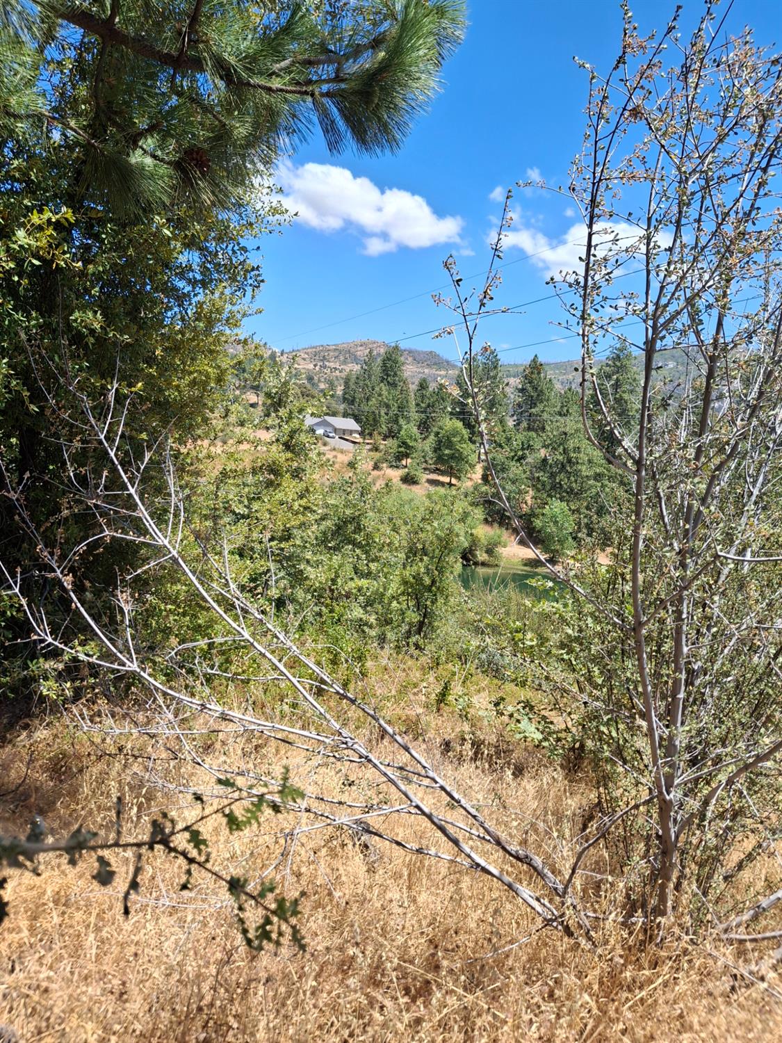 33892 33892 Shaver Springs Rd, Auberry, CA 93602