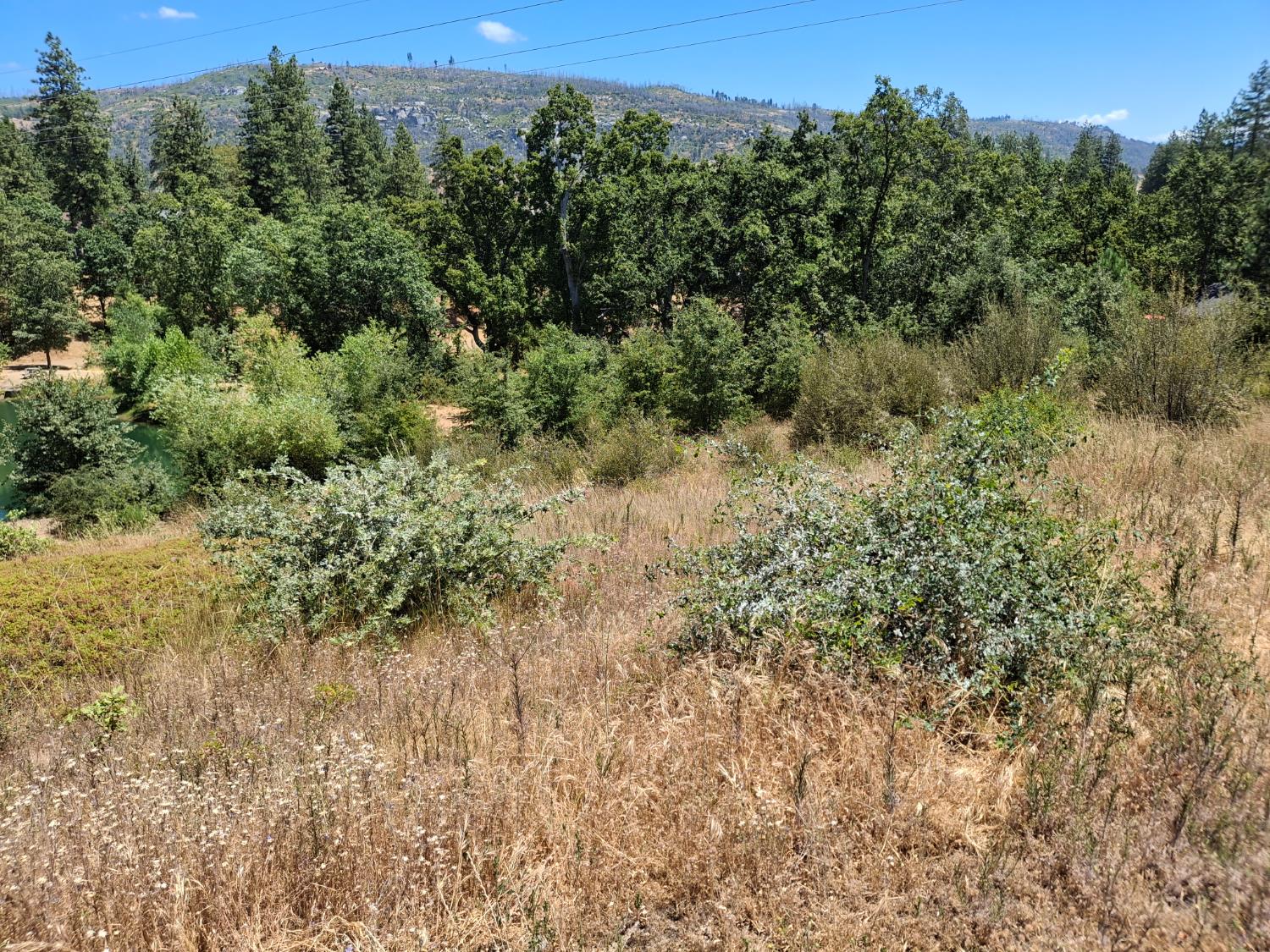 33892 33892 Shaver Springs Rd, Auberry, CA 93602